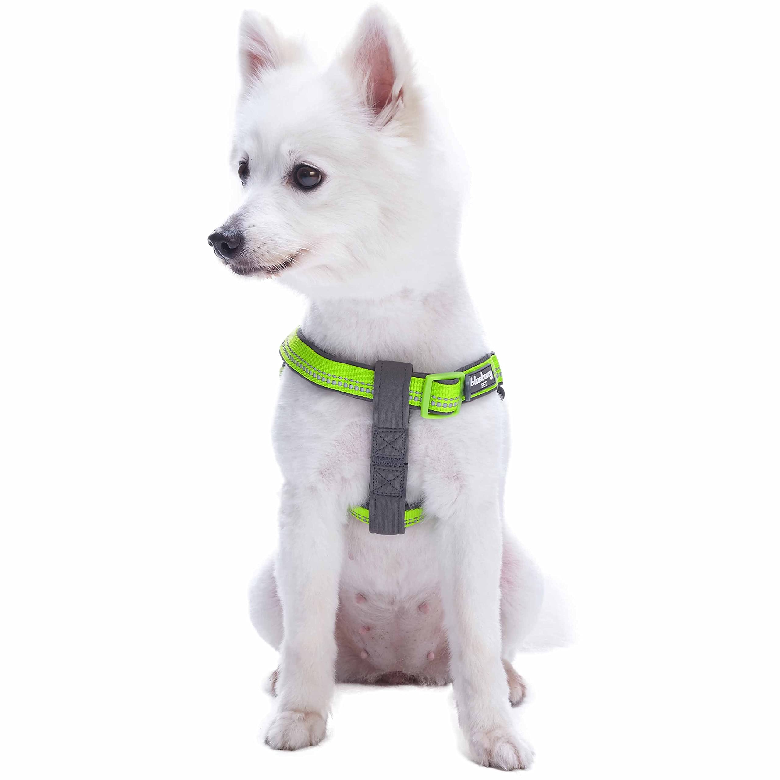 Blueberry Pet Soft & Comfy 3M Reflective Step-In Pastel Color Padded Dog Harness, Chest Girth 15.5' - 19.5', Green Flash, Small, Adjustable Harnesses For Dogs