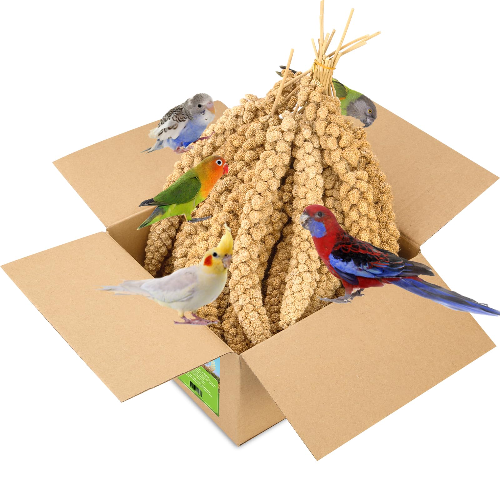 HATORTOP 2LB Millet Spray for Birds Parakeets Treats - All Natural Sun-Dried Spray Millet for Parakeets, Cockatiel, Budgie, Finc