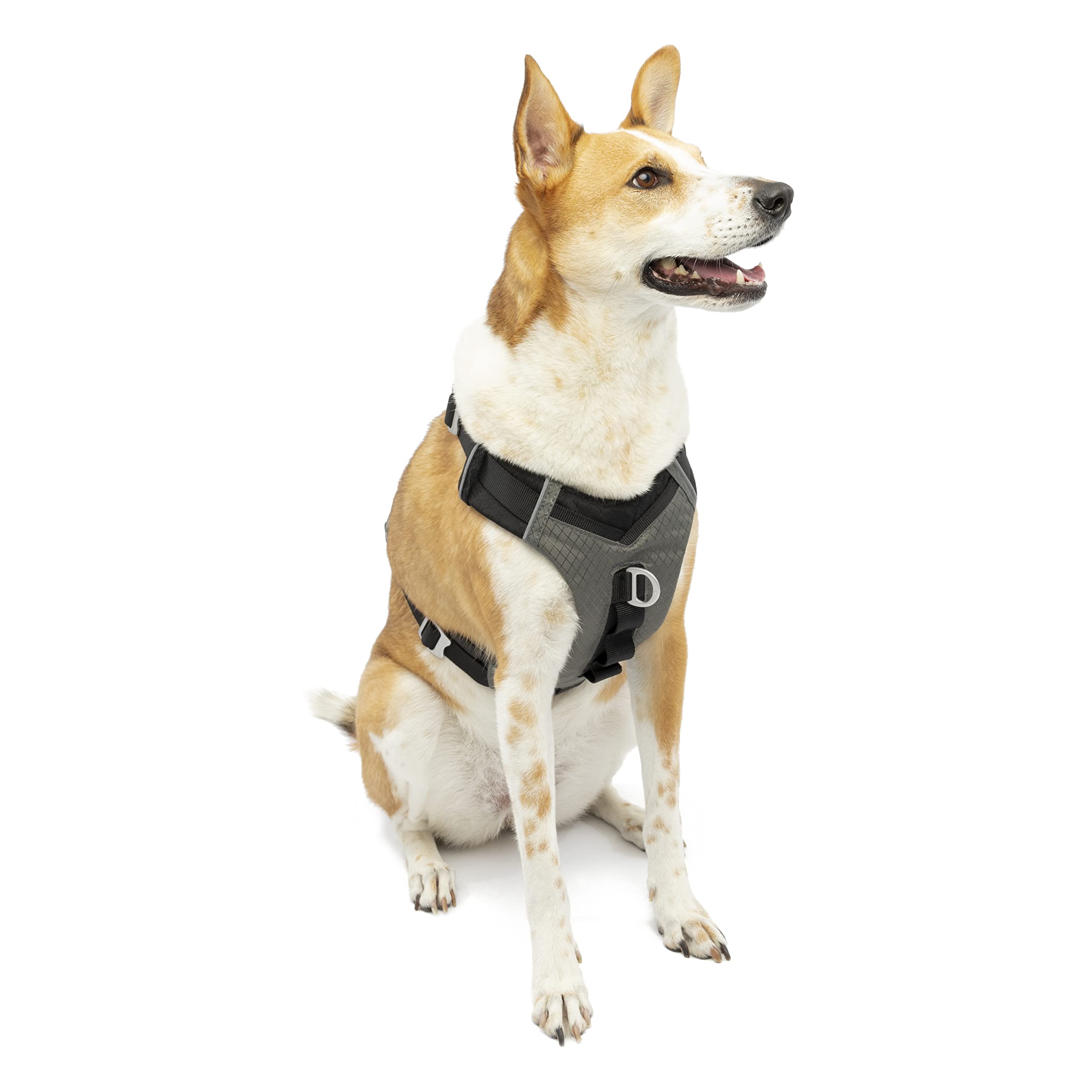 Kurgo Journey Air Dog Harness, Vest Harnesses For Dogs, Pet Hiking Harness For Running & Walking, Reflective, Padded, Includes Control Handle, No Pull Front Clip (Black, X-Large)