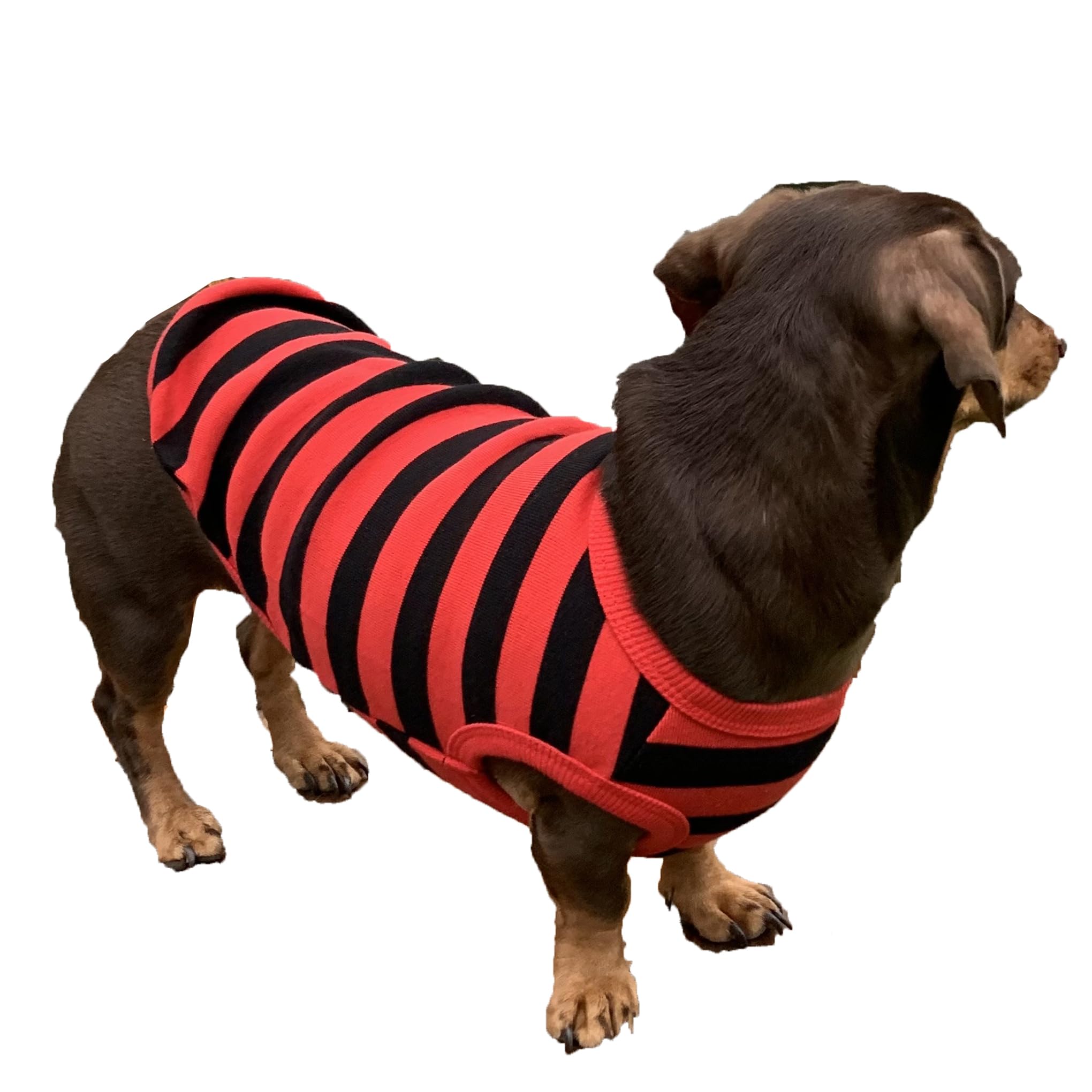 D Doggy Star Dachshund Clothes For Dogs Mini And Adults T Shirts (L,Stripe Red/Black)