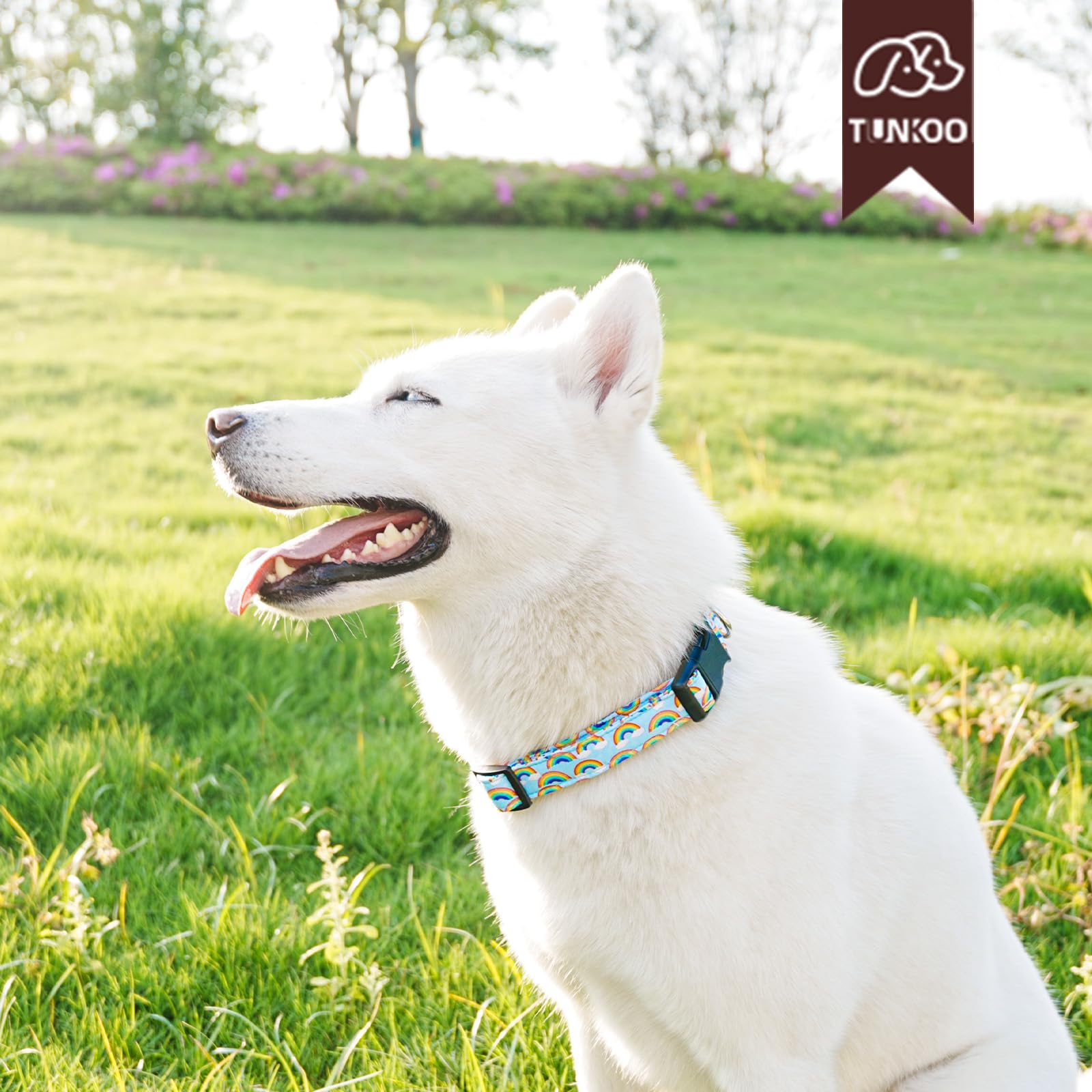 Tunkoo Pride Dog Collar Rainbow Cloud, Cute Adjustable Striped Collar With Strong Plastic Buckle - For Small Medium Large Pets,