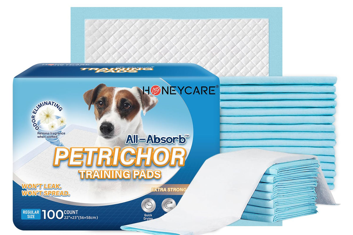 Honey Care All-Absorb, Large 22' X 23', 100 Count, Dog And Puppy Training Pads, Ultra Absorbent And Odor Eliminating, Leak-Proof 5-Layer Potty Training Pads With Quick-Dry Surface, Blue, A01