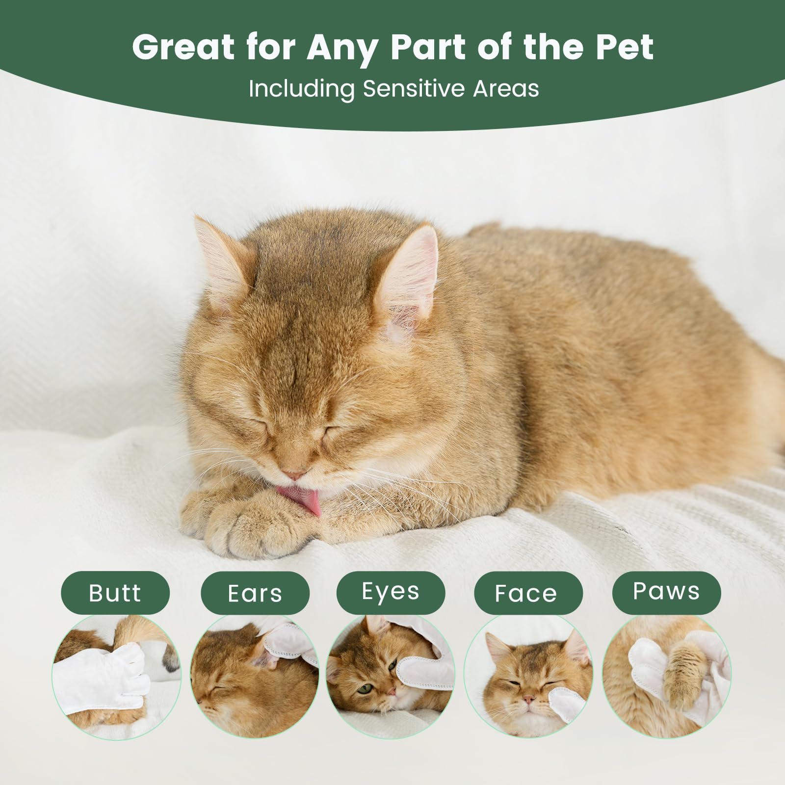 Gardner Pet Extra Thick Dog & Cat Wipes, Unscented, 8 PCS, Cleaning & Deodorizing for Paws & Butt, Model GP-700290