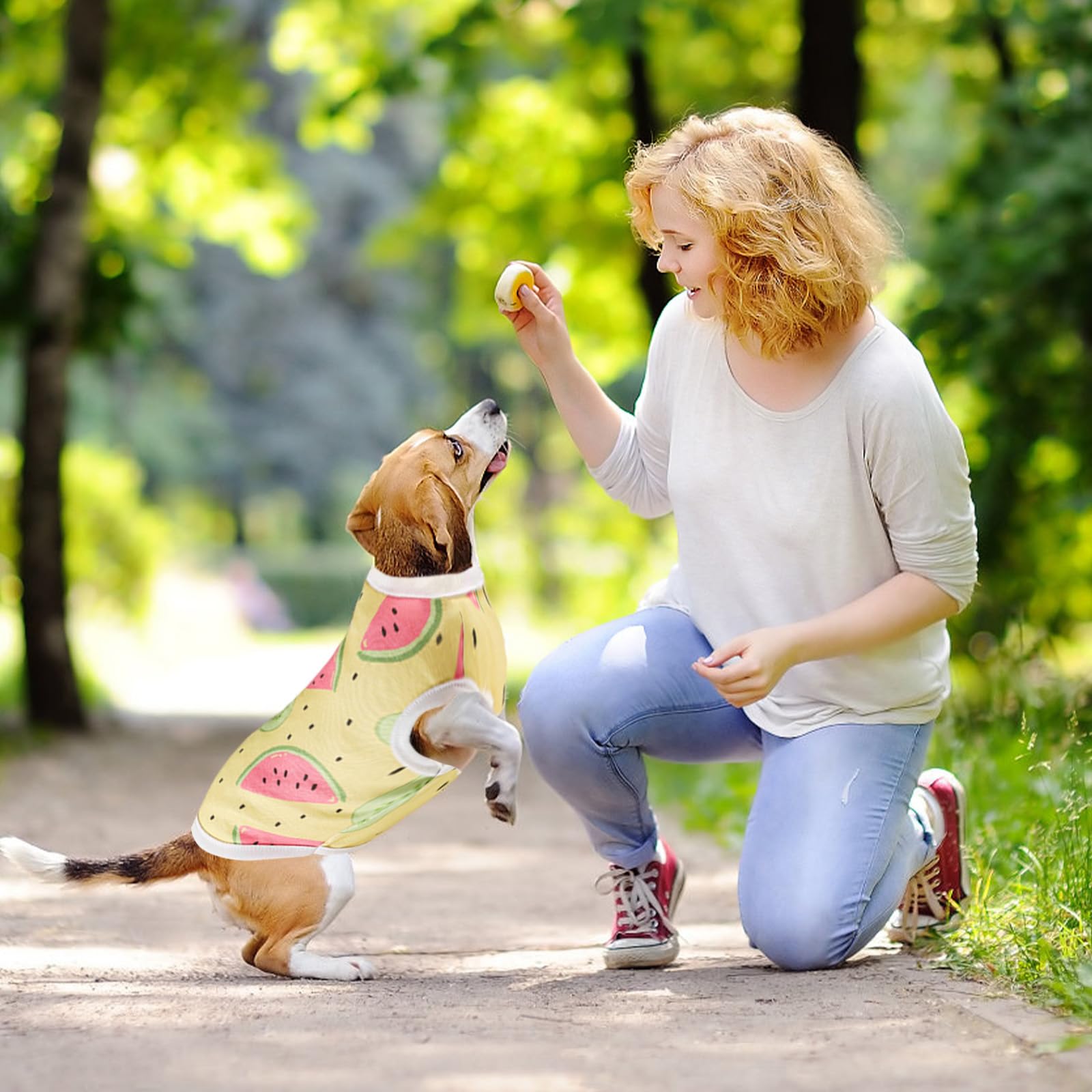 4Pcs Dog Summer Shirt Cute Soft Puppy Vest Fruit Print Pet Sleeveless T-Shirt Colorful Cat Clothes Breathable Pet Outfit For Sma