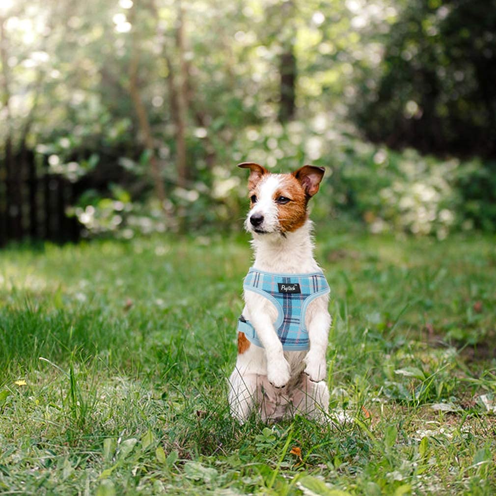 Pupteck Soft Mesh Dog Harness And Leash Set Pet Puppy Cat Comfort Padded Vest No Pull Harnesses, Light Blue, S