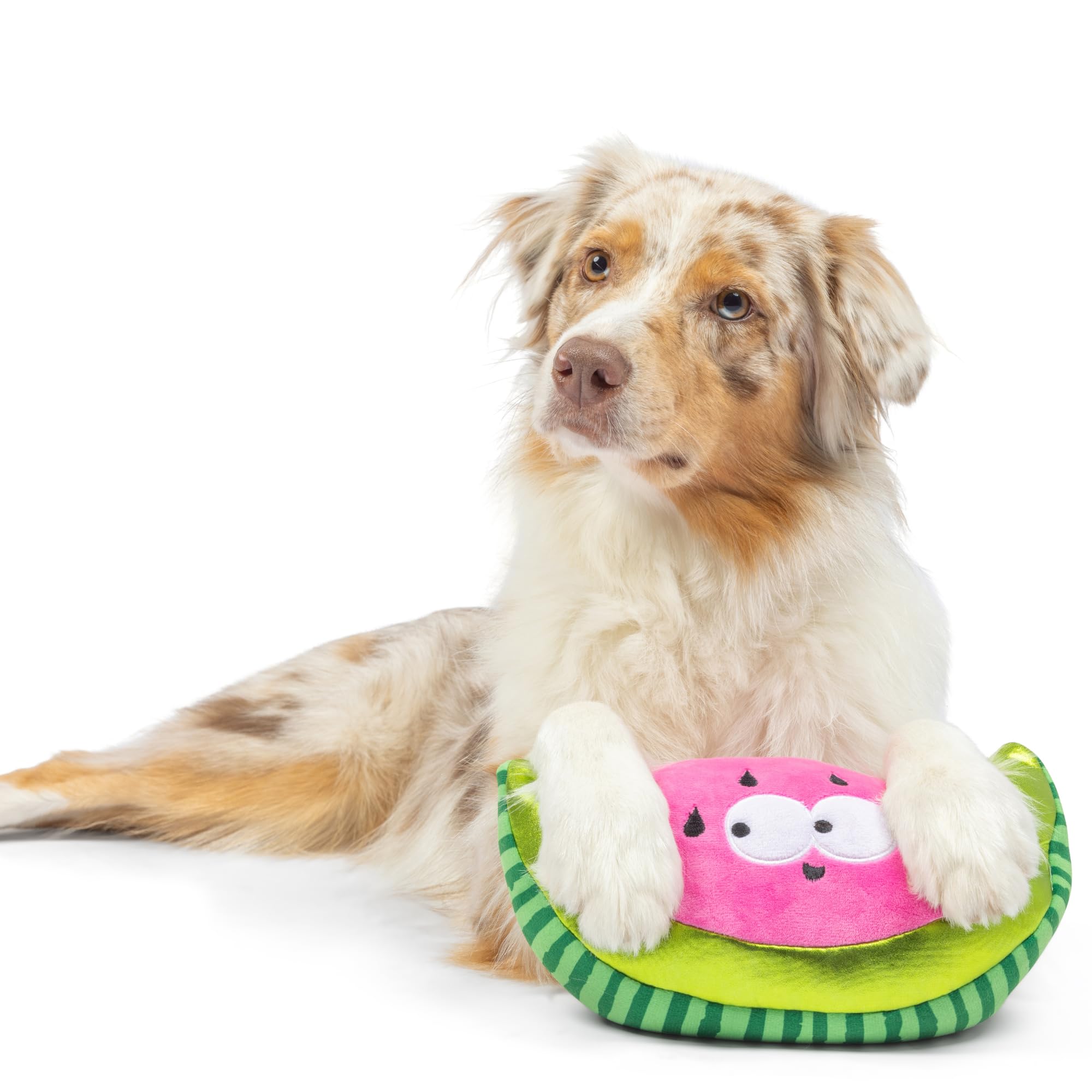 Huxley & Kent For Dogs - Walter Melon (Small) - Power Plush Dog Toy With Squeaker - Fun, Durable - H&K Squeaky Funny Dog Toy