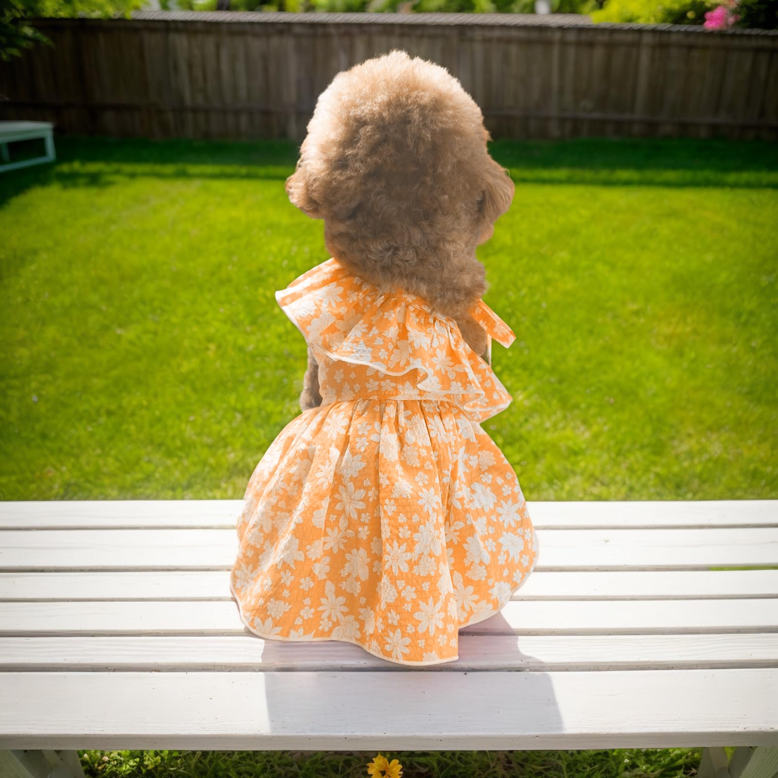 Topkins Dog Dress, Cute Dog Princess Dresses With Lace-Up, Pretty Prints Pet Dress Clothes For Small Dogs (Orange, Xl)