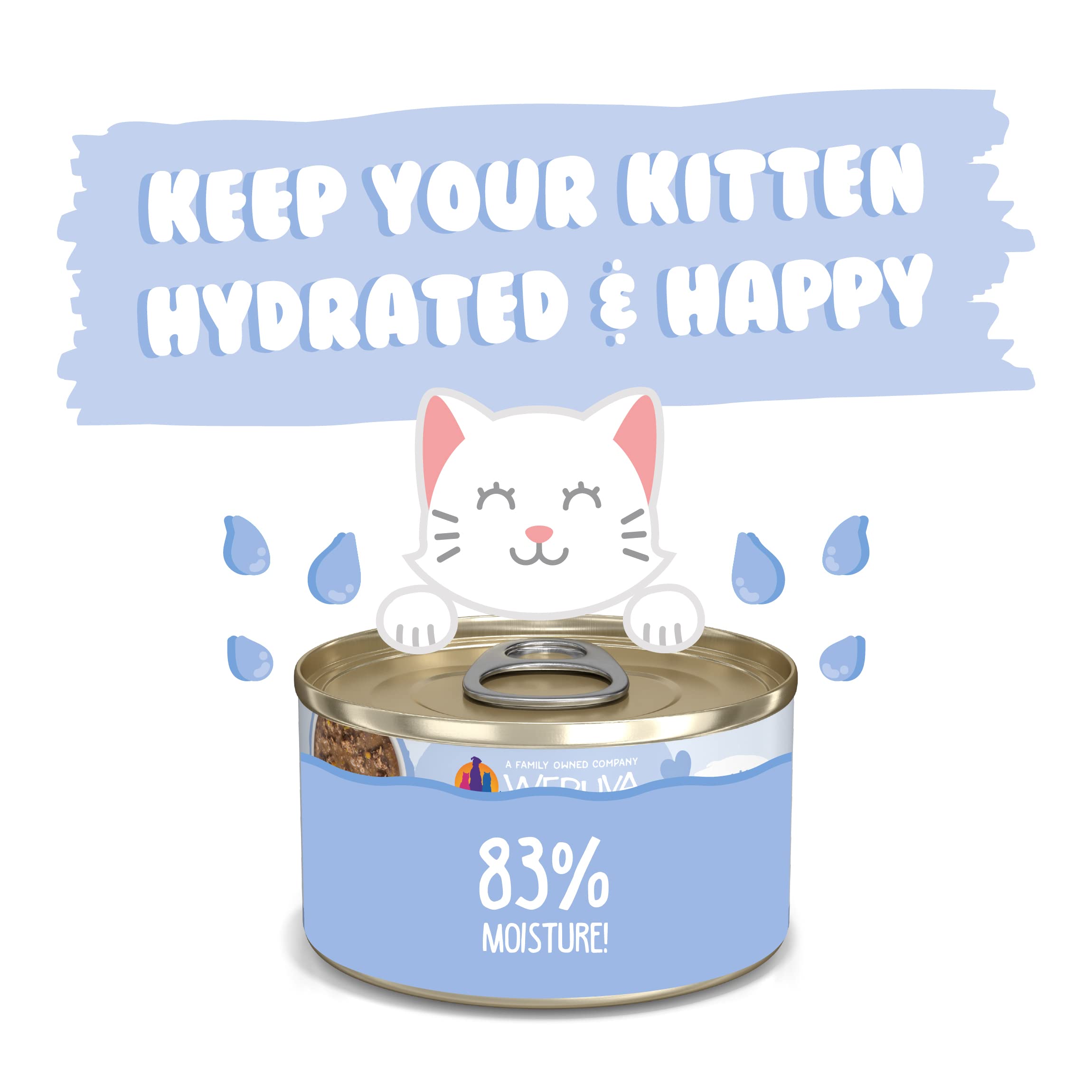 Weruva Kitten, Chicken & Pumpkin Formula in Gravy, 3oz Can (Pack of 12)