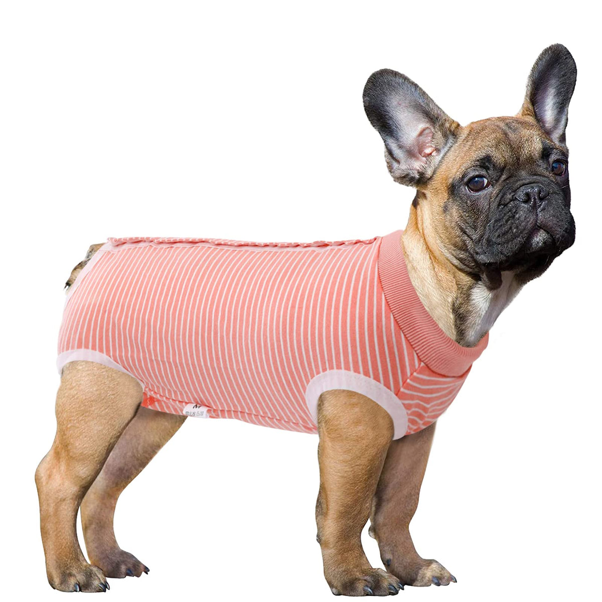 Sawmong Dog Recovery Suit, Recovery Suit For Dogs After Surgery, Dog Spay Surgical Suit For Female Dogs, Dog Onesie Body Suit For Surgery Male Substitute Dog E-Collar Cone, Pink, Xxx-Large