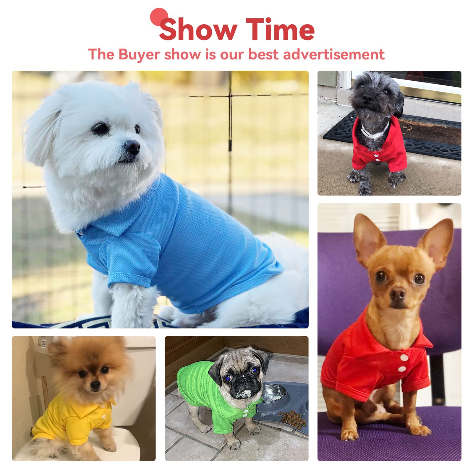Doggyzstyle 4 Pieces Dog Shirts Collared Polo T-Shirts For Small Medium Dogs Cats Boy Girl Dog Clothes Breathable Doggy Sweatshirt Puppy Kitten Small Breeds Pet Outfits Apparel Tops