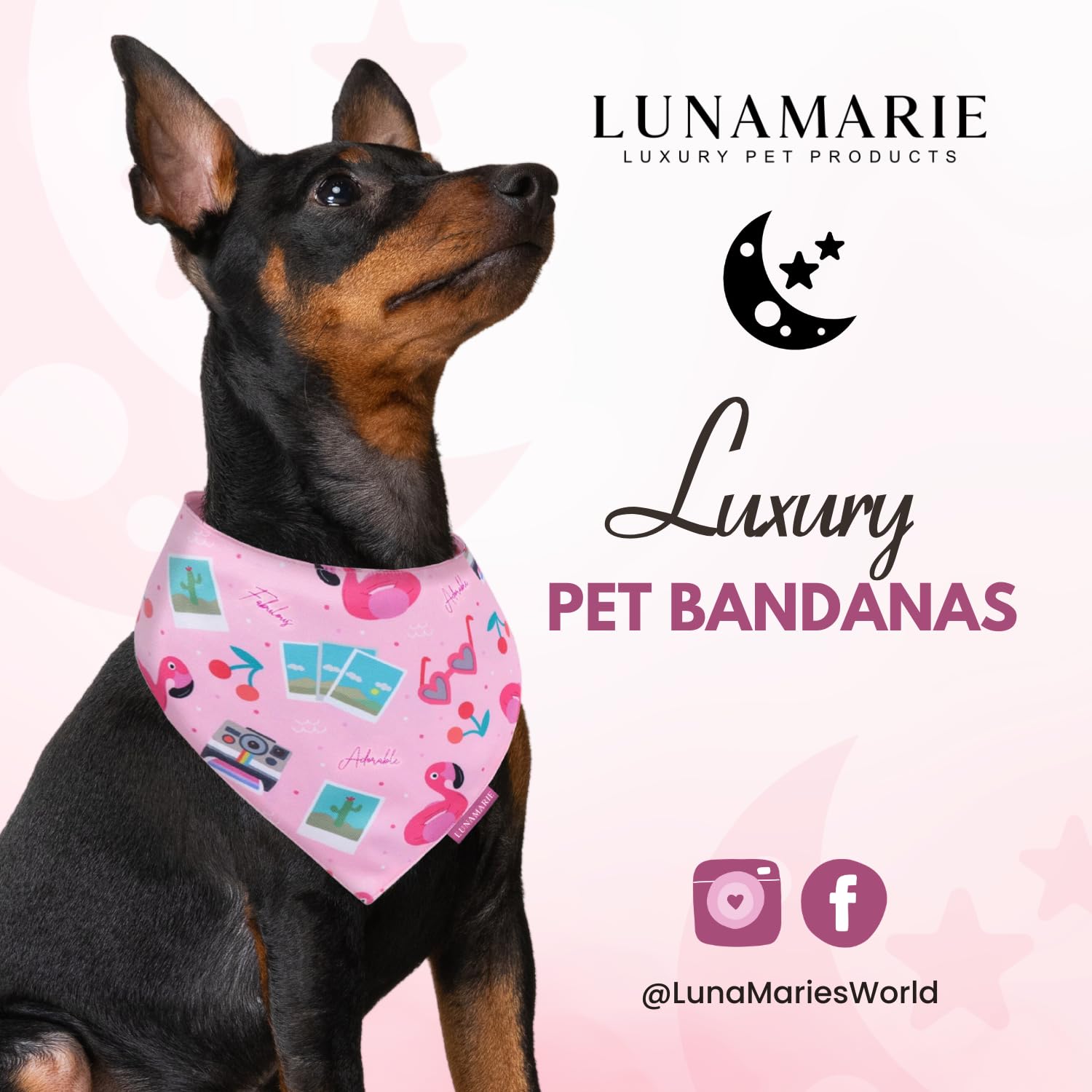 Lunamarie - Luxury Pet Birthday Bandanas -Premium & Silky Poly Fabric | 100% Handmade | Custom Shape Dual Layered (Summer Vibes,