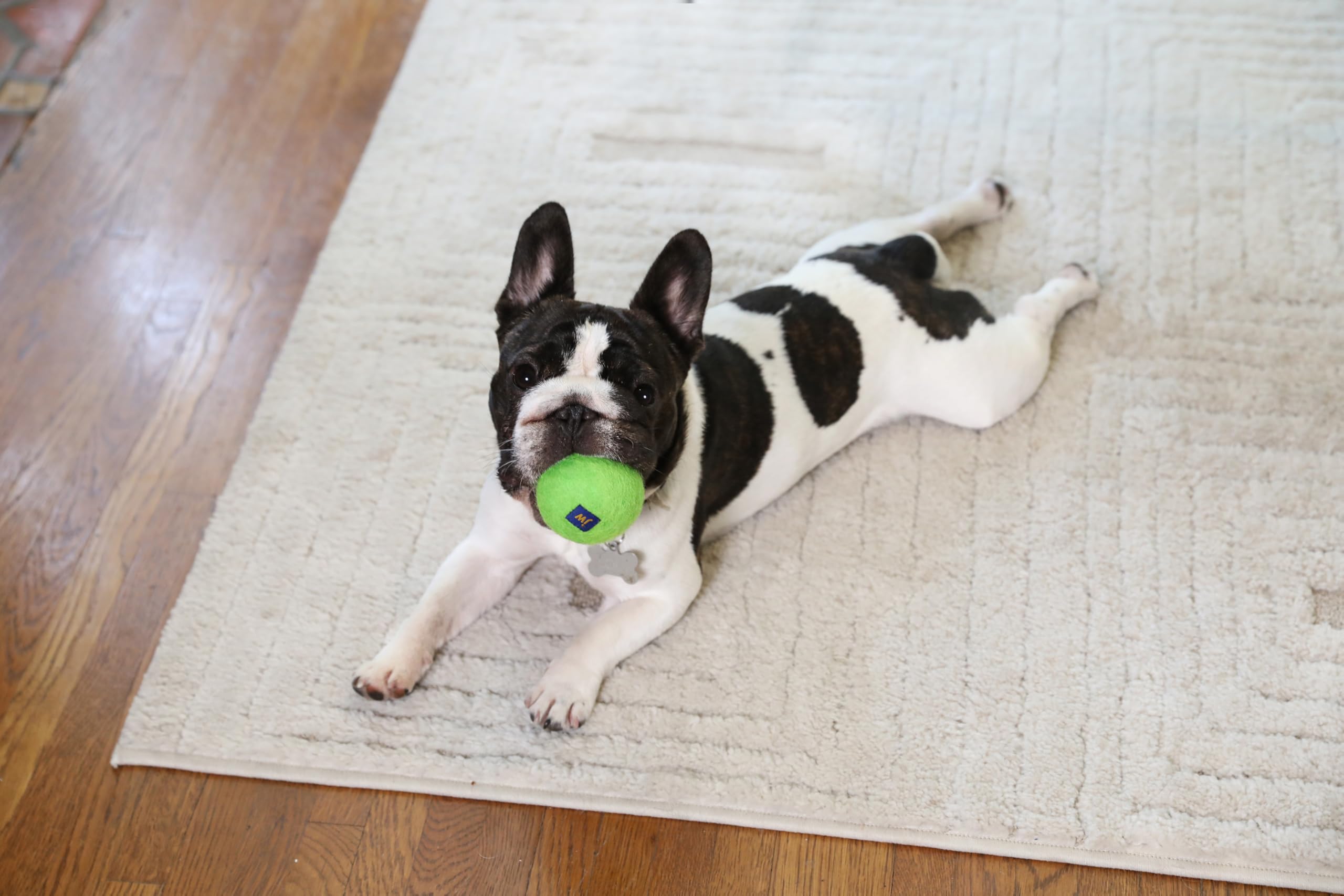 JW Wool-EE Ball Small (2 Pack) Handmade 100% Wool All Natural Dog Toy for Fetch