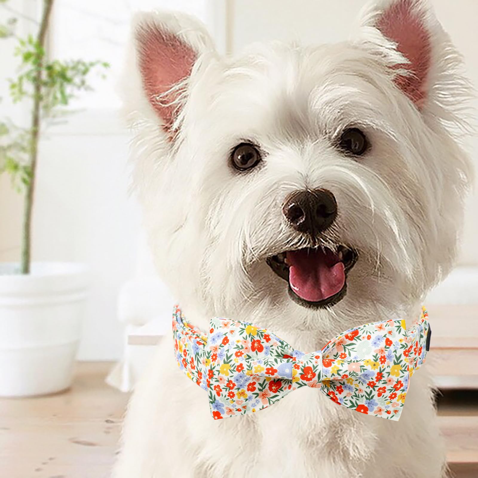 Unique Style Paws Summer Dog Collar With Bow, Lovely Bow Tie Dog Collar, Colorful Flower Dog Bow For Girl,Boy Dogs,Cats,Xl,16-26