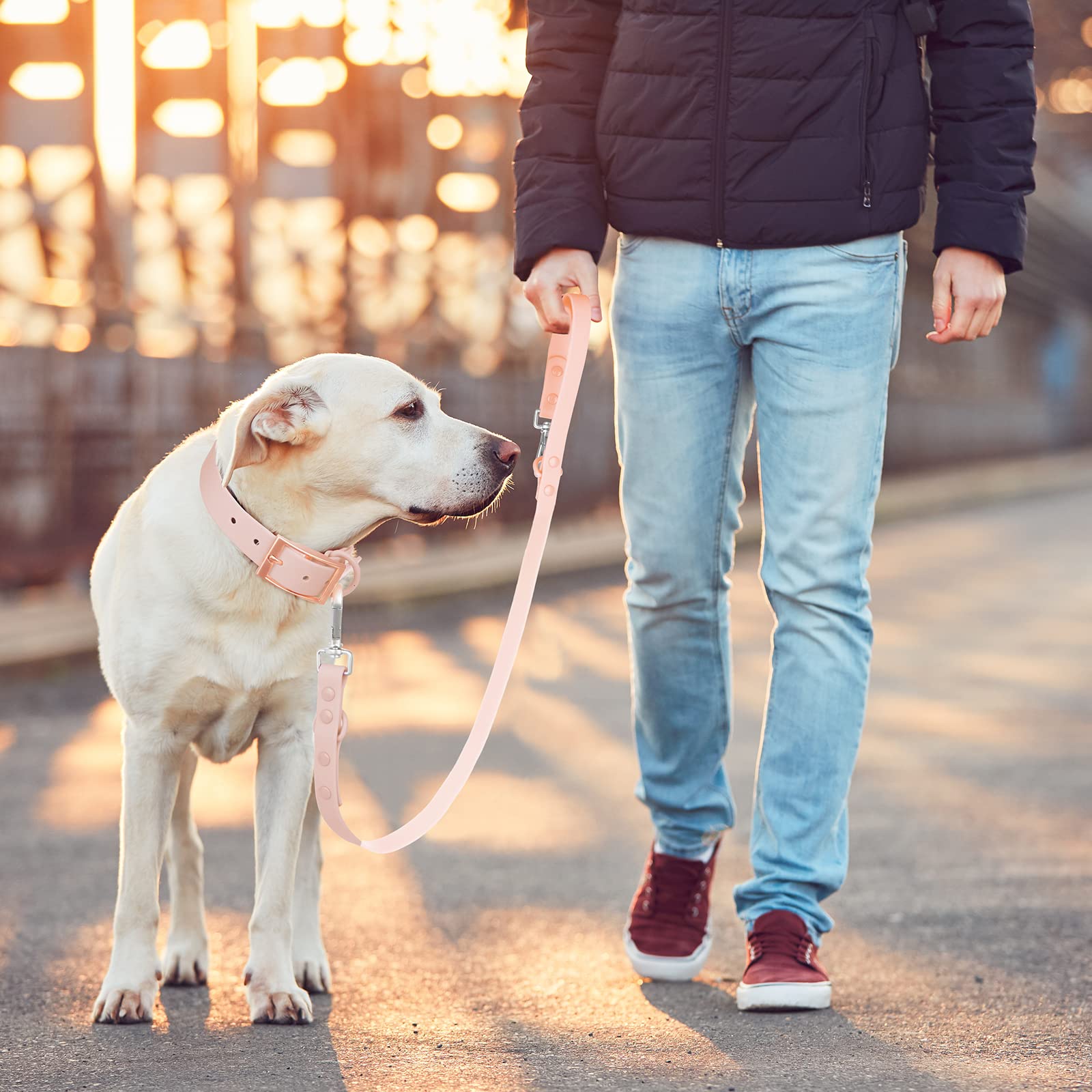 Waterproof Dog Leash: Standard Dog Leashes With 2 Hooks For Walking, Adjustable Lengths For Traffic Control Safety, Durable And Odor Proof, For Medium Large Dogs (L|3/4 In × 6 Ft, Gossamer Pink)