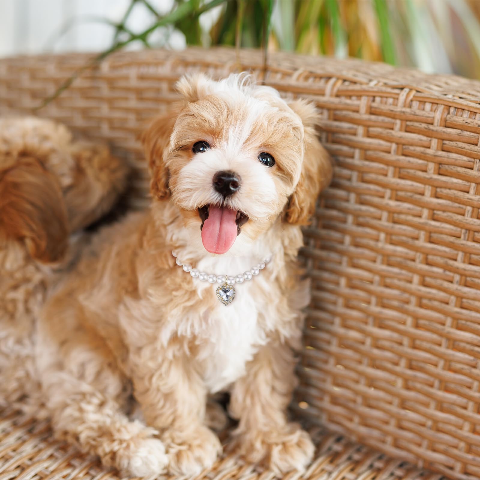 2Pcs Pearl Cat Collar, Cute Cat Collars For Girl Cats, Beaded Dog Collar Girl, Pearl Collar For Dogs, Cat Chain, Dog Pearl Neckl