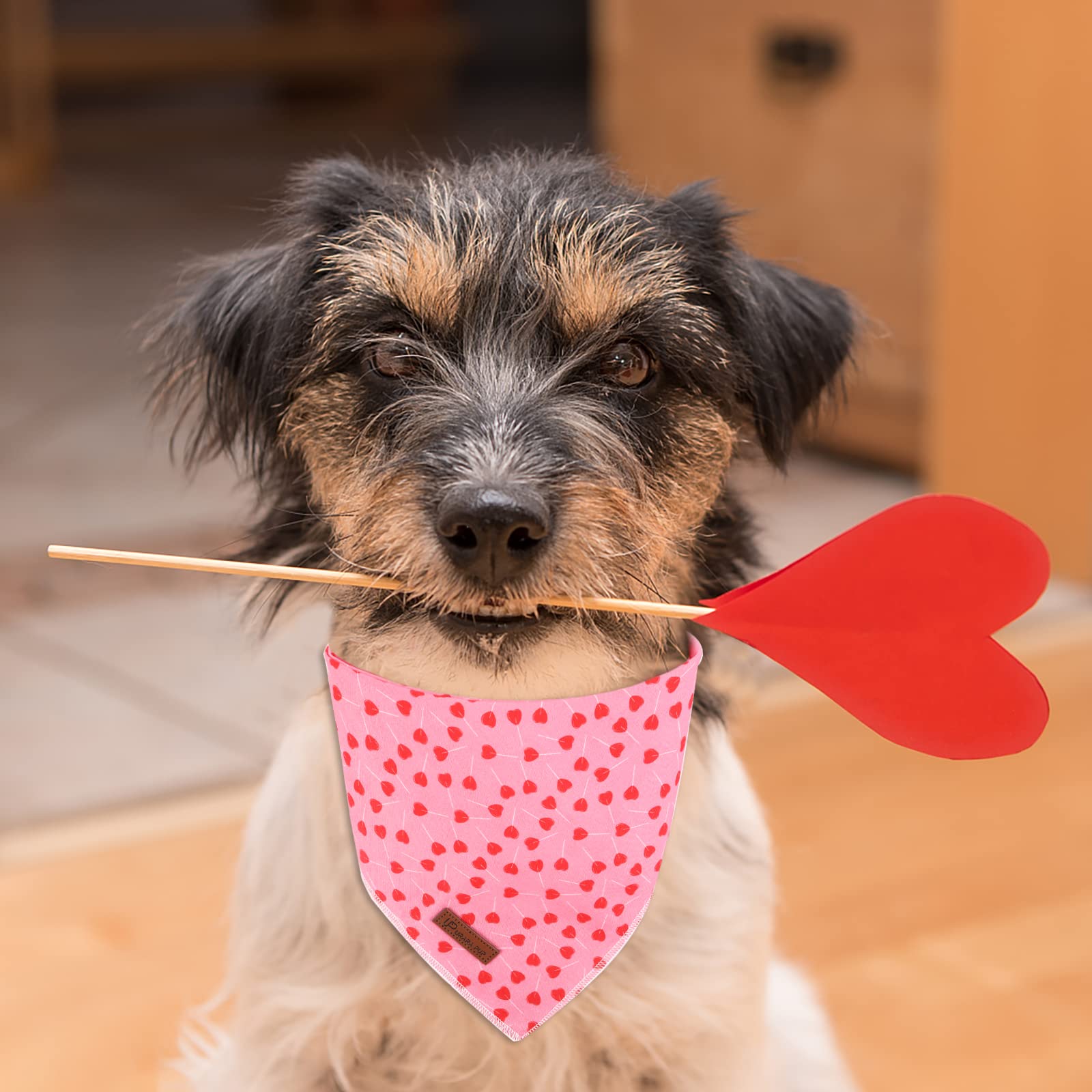 Up Urara Pup Valentines Day Dog Bandana, Valentine Triangle Bid Scarf For Girl Boy Medium Large Dogs, Adorable Puppy Wedding & V