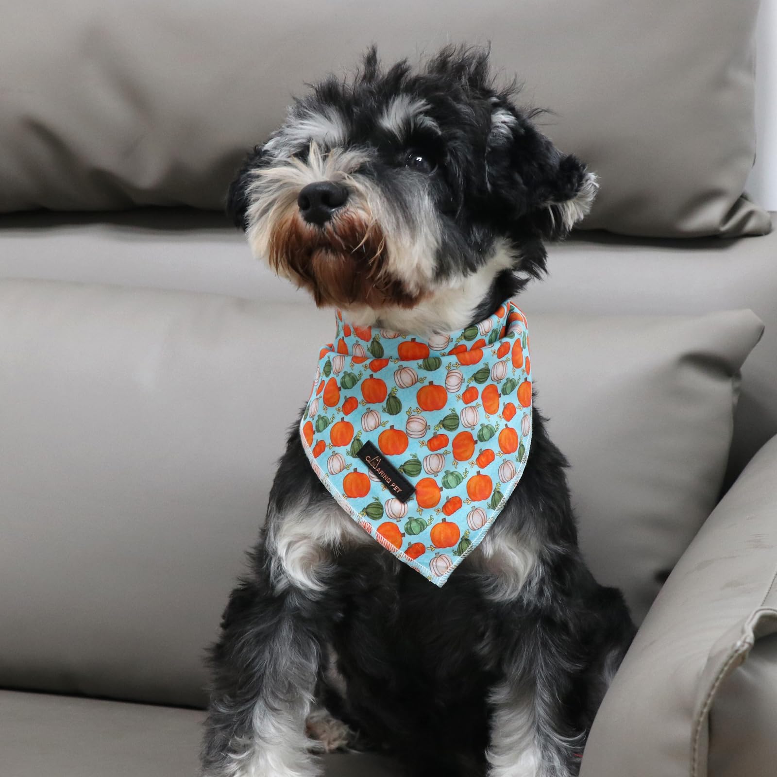 Aring Pet Halloween Dog Bandana, Cotton Pumpkin Dog Bandanas, Soft Comfortable Halloween Pet Scarf Dog Triangle Bibs For Small To Large Dogs And Cats