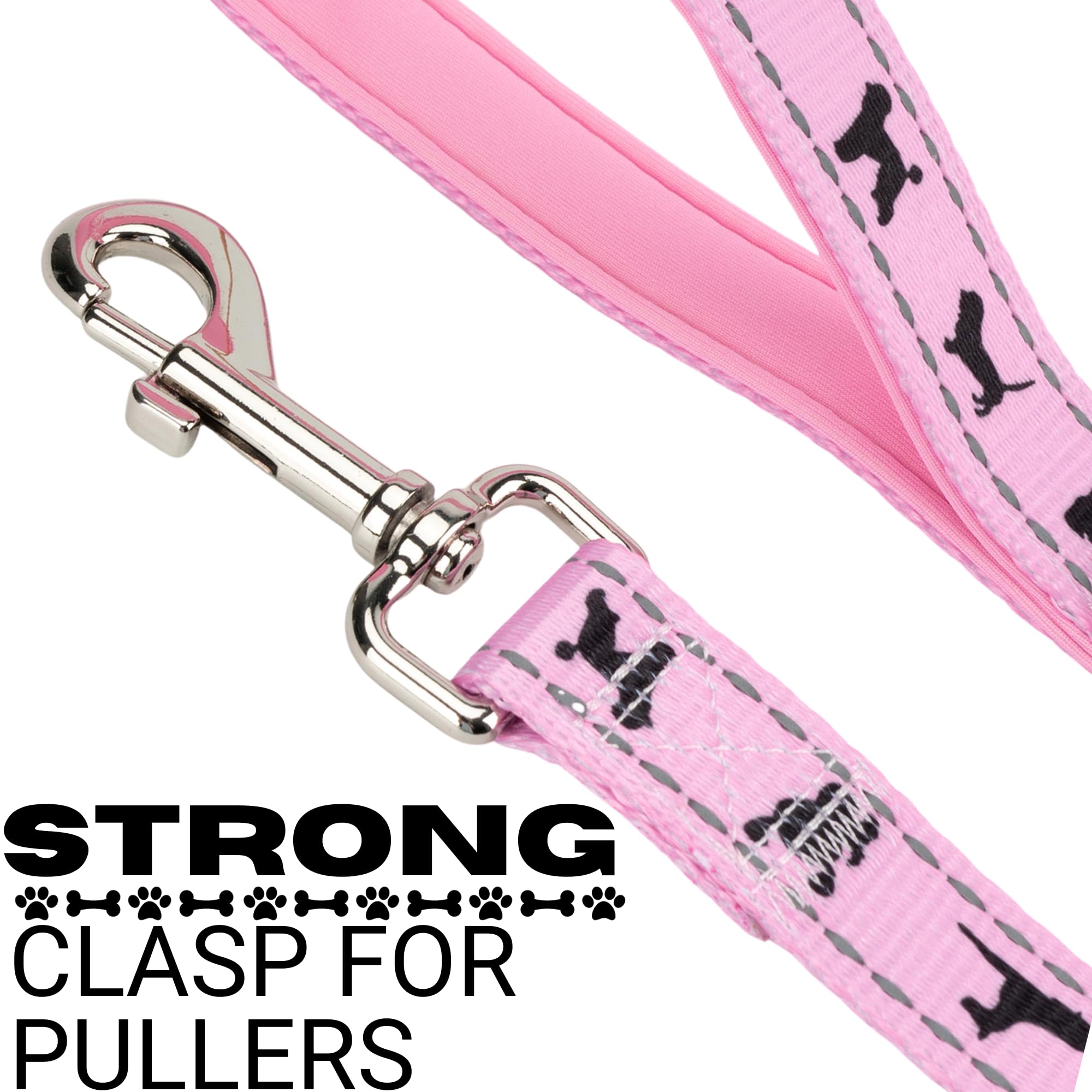 Ecobark Dog Leash - 4 Ft / 5 Ft / 6 Ft Reflective Dog Leash- Eco-Bright Dog Leashes With Padded Handle - Strong Heavy Duty Dog L