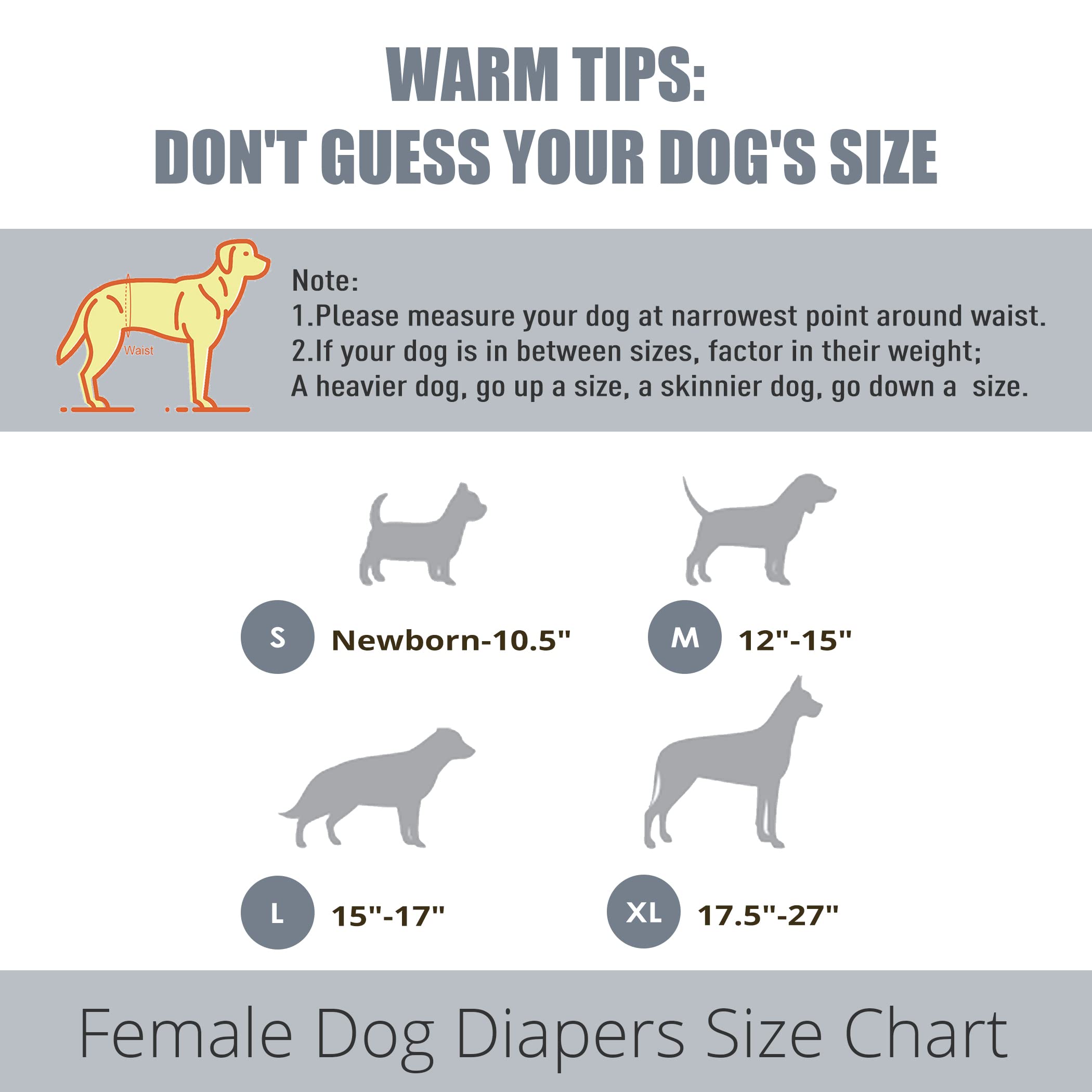 Wegreeco Female Dog Diapers (3 Pack), Highly Absorbent, Washable, Small Medium Large Size (Morandi, Small)