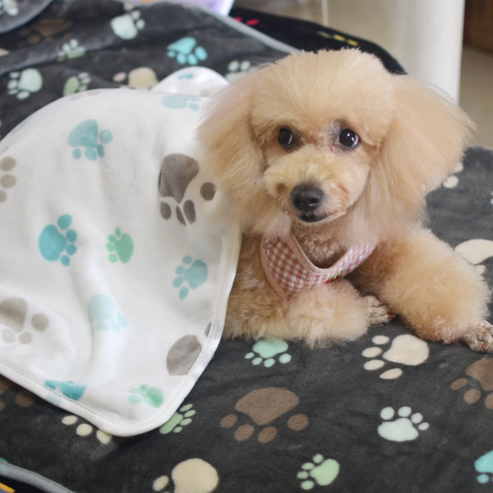 1 Pack 3 Puppy Blankets Super Soft Warm Sleep Mat Grey PAW Print Blanket Fleece Pet Blanket Dog Blankets for Small Dogs Puppy Do