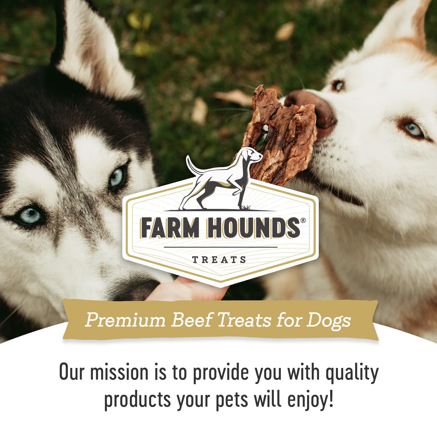 Farm Hounds - Beef Lung - Premium Natural Beef Lung Jerky for Dogs - Made from 100% Humanely Raised Cattle - Organ Treat - Great