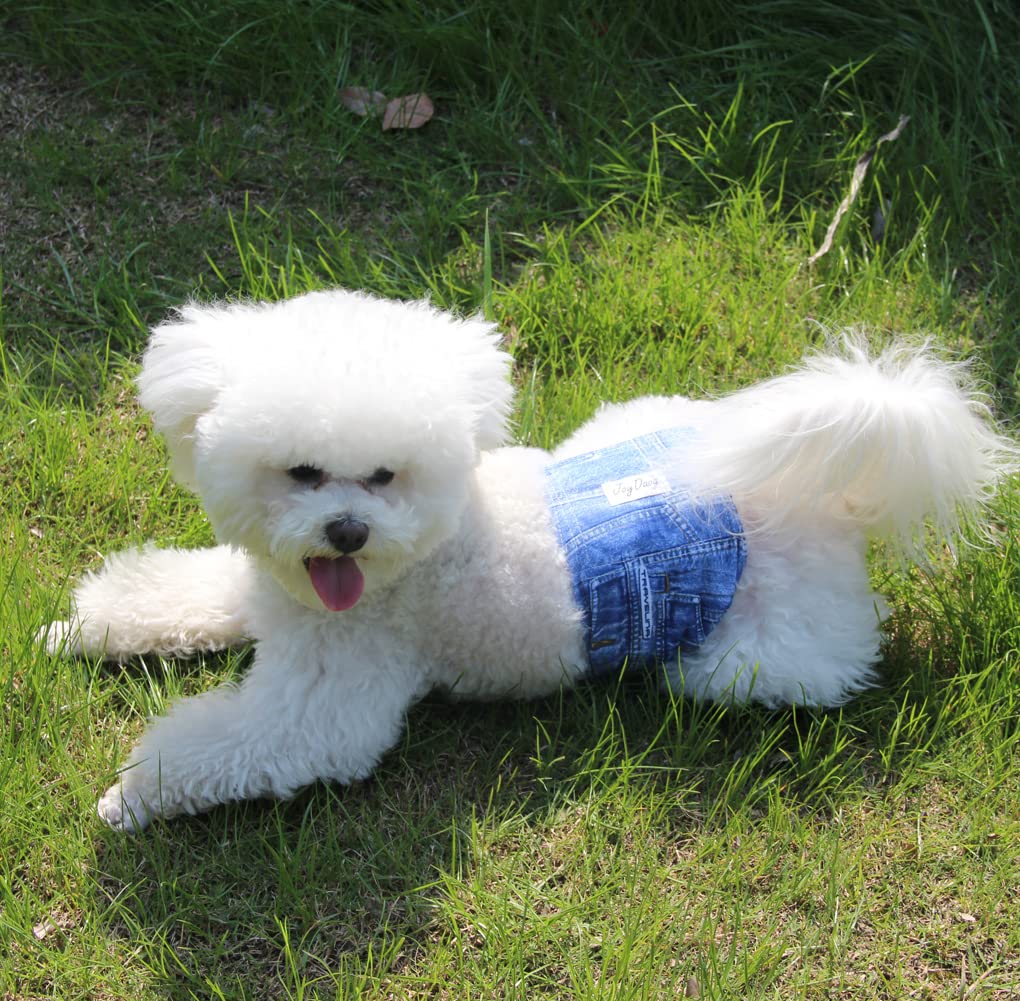 JoyDaog Jean Belly Bands for Small Dog Diapers Male Reusable Puppy Wrap XS,Pack of 3