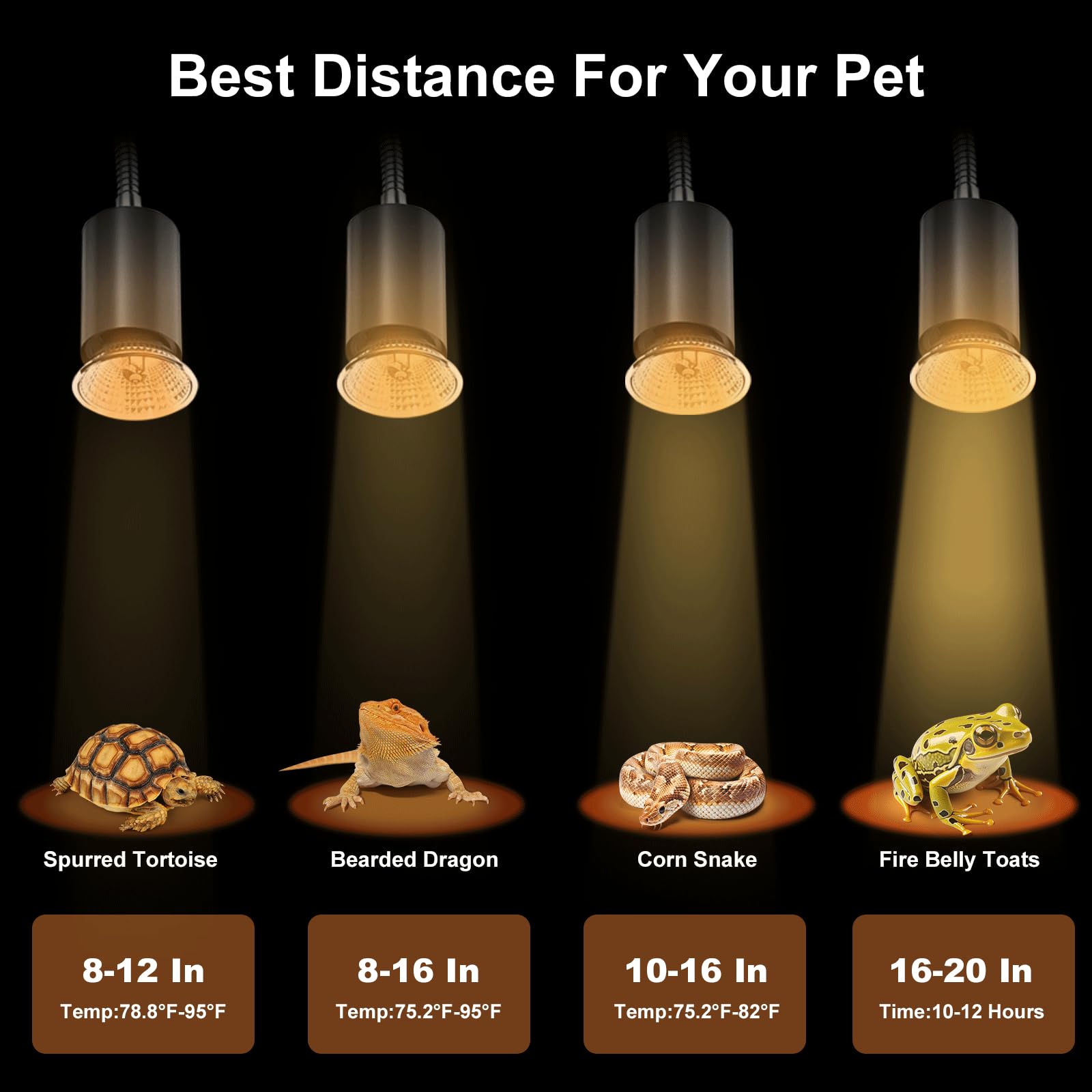 RAGFOZ 25W Turtle Reptile Heat Lamp Bulb, UVA UVB Reptile Light Bulb for Turtle Tank, Fits Reptiles and Amphibian Tanks, Terrari