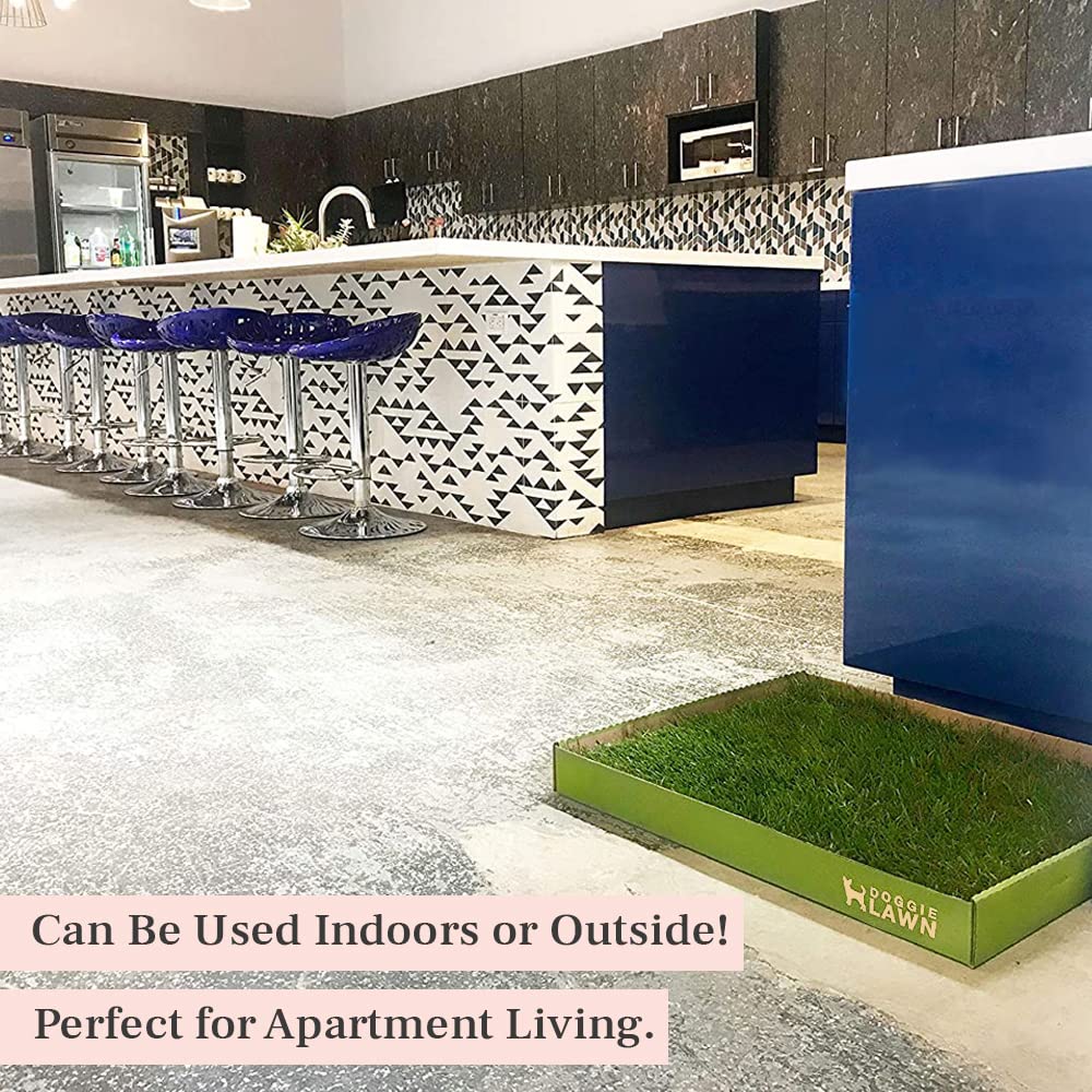 Doggielawn Real Grass Puppy Pee Pads- 24 X 24 Inches - Perfect Indoor Litter Box For Dogs - No Mess, Easy-To-Use - Potty Training For Pets - Eco-Friendly Disposable Bathroom With Real Living Grass