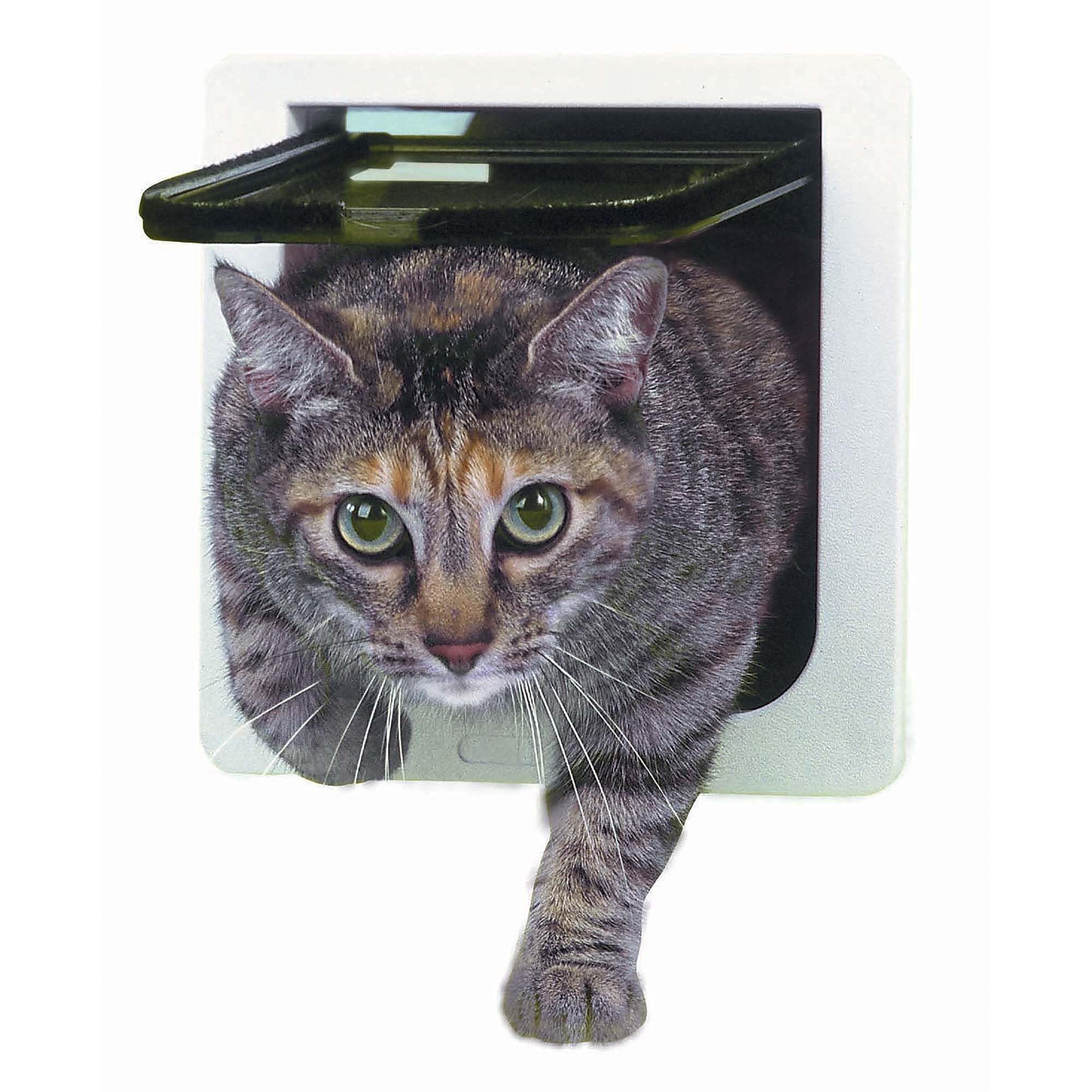 Ideal Pet Products Cat Flap Door With 4 Way Lock, 6.25'' X 6.25'' Flap Size