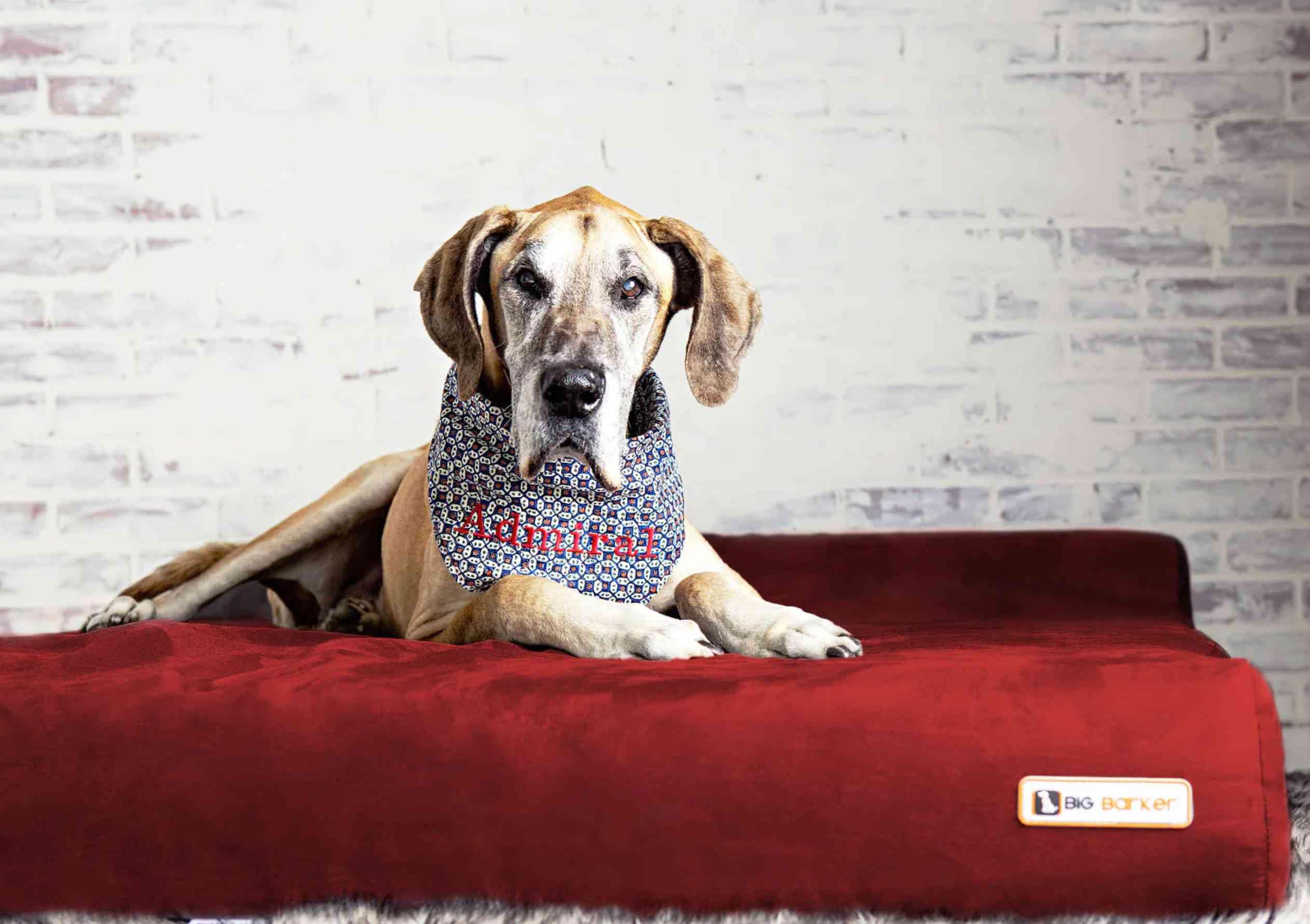 Barker Beds Headrest Giant Dog Bed (Giant, Burgundy) - 7'' Thick Soft & Comfortable Orthopedic Cushion - Big Dog Bed - Durable &