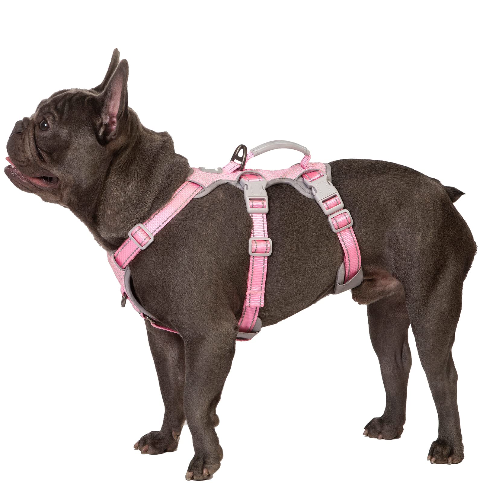 Huntboo No Escape Dog Harness, Escape Proof Harness, Fully Reflective Harness With Padded Handle, Breathable,Durable, Adjustable Vest For Small Dogs Walking, Training, And Running Gear（Pink,S