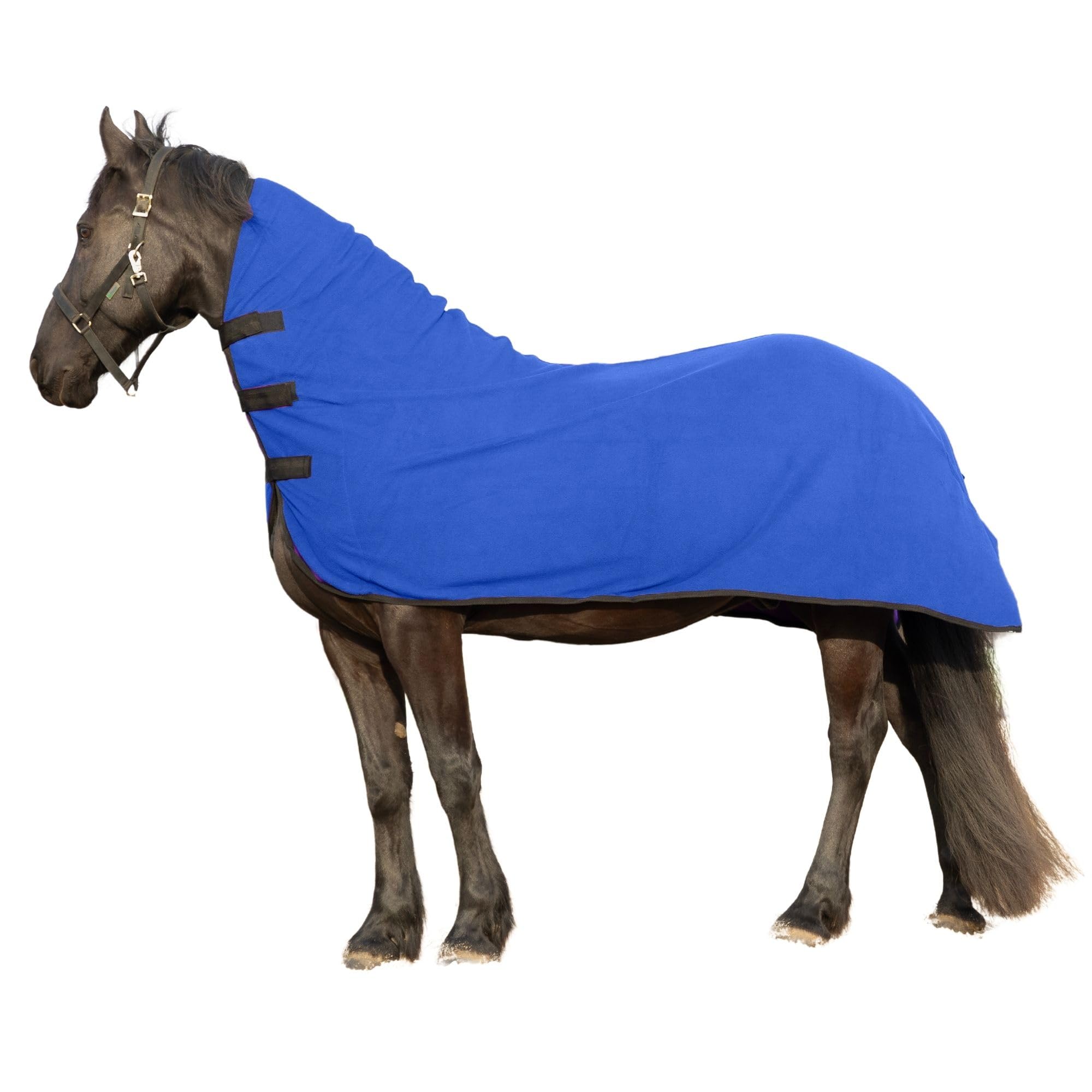 Resistance Long Lasting & Warm Soft Fleece Contour Cooler For Horse (Small (62-66), Royal Blue)