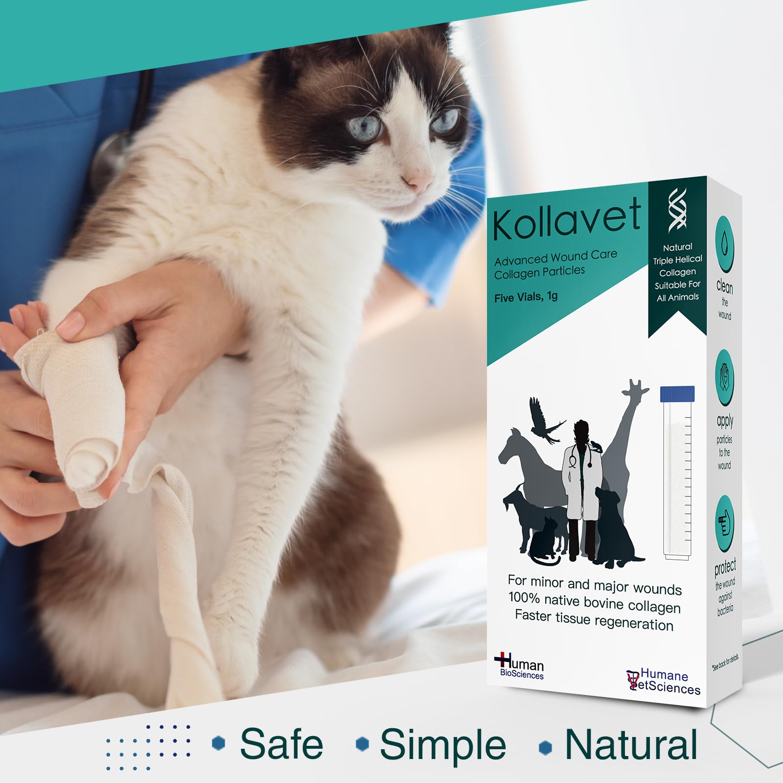 Kollavet Veterinarian-Recommended Animal Wound Care Dressing for Cats, Dogs, Horses, Reptiles, Pets, and Working Animals (1 Gram