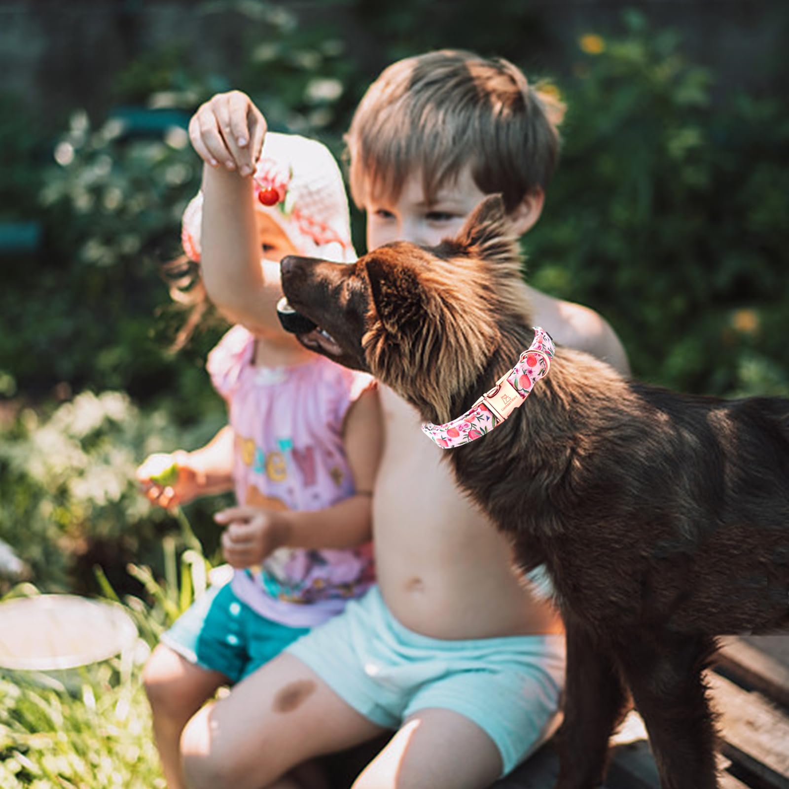 Lionheart Pink Dog Collar - Soft, Durable, Adjustable - Spring Collar For Puppies & Girls