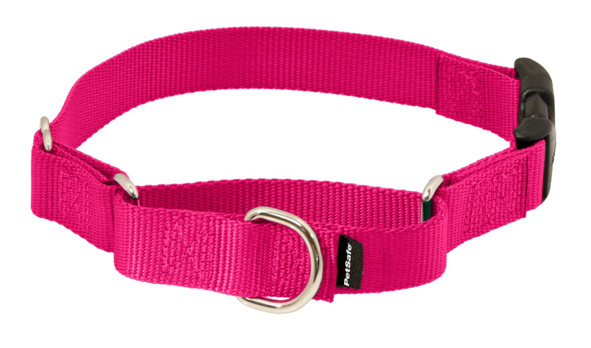 Petsafe Martingale Collar With Quick Snap Buckle, 3/4' Small, Raspberry