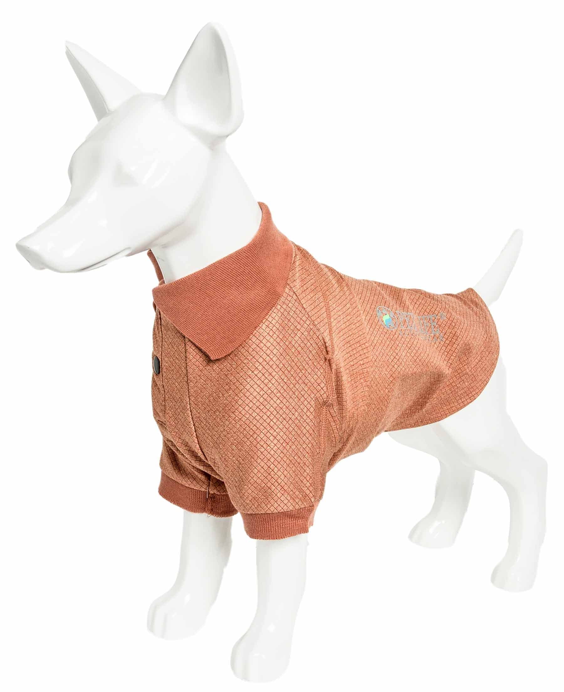 Pet Life  Active 'Fur-Flexed' Fitness and Yoga Pet T-Shirt Dog Polo - Breathable Dog Shirt Featuring 4-Way Relax-Stretch, Reflec