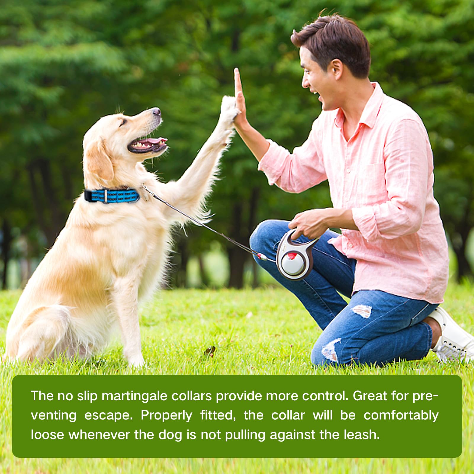 Hikiko Martingale Dog Collars Reflective Nylon Dog Collar With Quick Release Buckle Adjustable Training No Slip Dog Collar (Larg