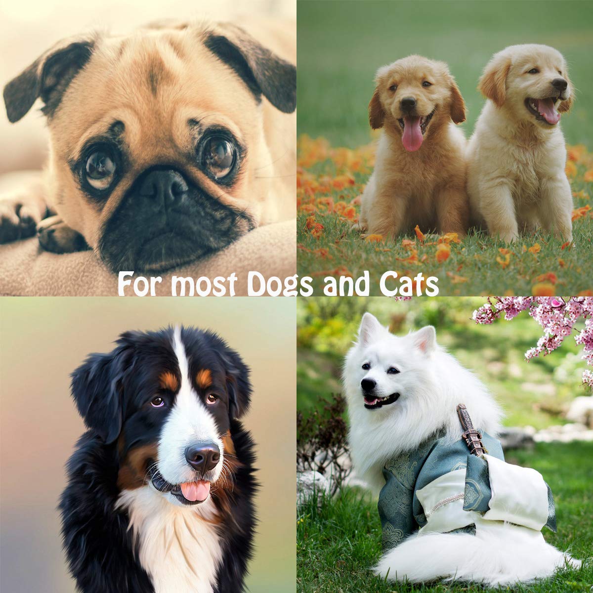 Tunan 7 Pcs Pet Dog Grooming Comb, Metal Head Comb For Long Hair, Dog Tear Stain Remover Combs, Hair Combs Remover For Dogs Cats, Pet Grooming Tool Removes Crust, Mucus And Stains - 5 Types