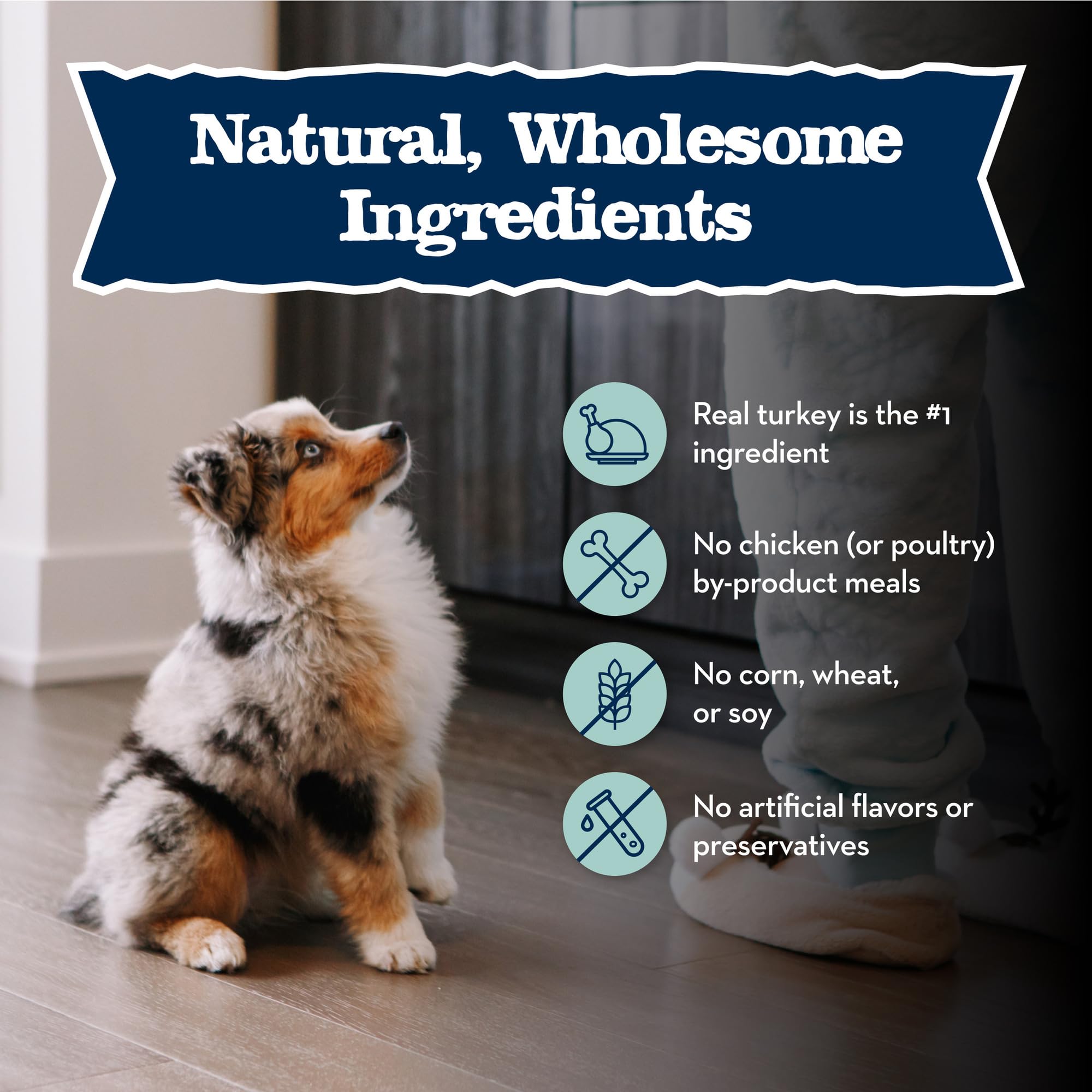 Blue Buffalo Baby BLUE Natural Wet Food for Puppies, Healthy Growth Formula with DHA, Turkey & Vegetable Recipe, 12.5-oz. Cans,
