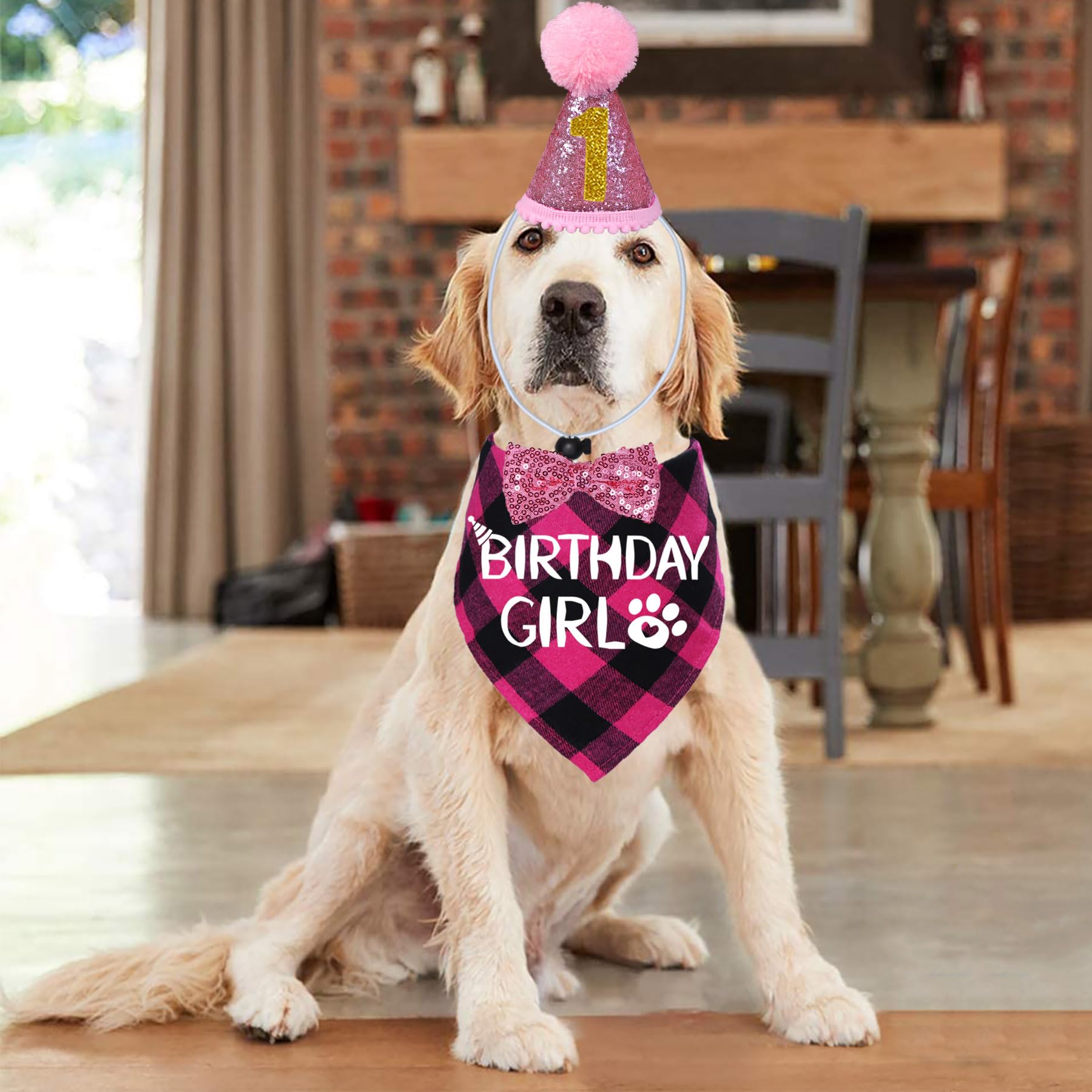 Stmk Dog Birthday Party Supplies, Multi Sizes Dog Birthday Hat With Numbers Bandana Bow Tie For Medium Large Dogs Pets Birthday
