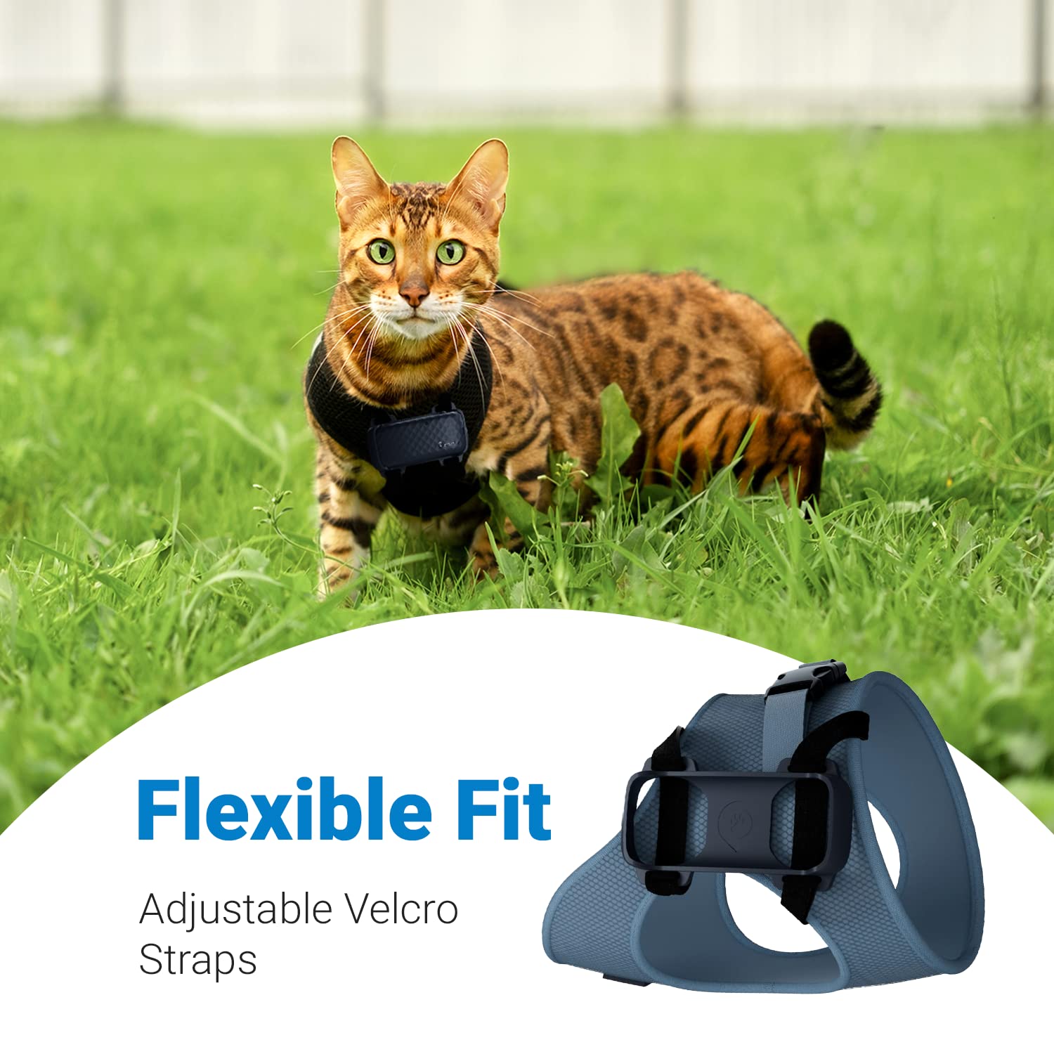 Tractive GPS Cat 4 Tracker Harness Attachment, for Cat Walks with Peace of Mind, hook and loop Straps, Black