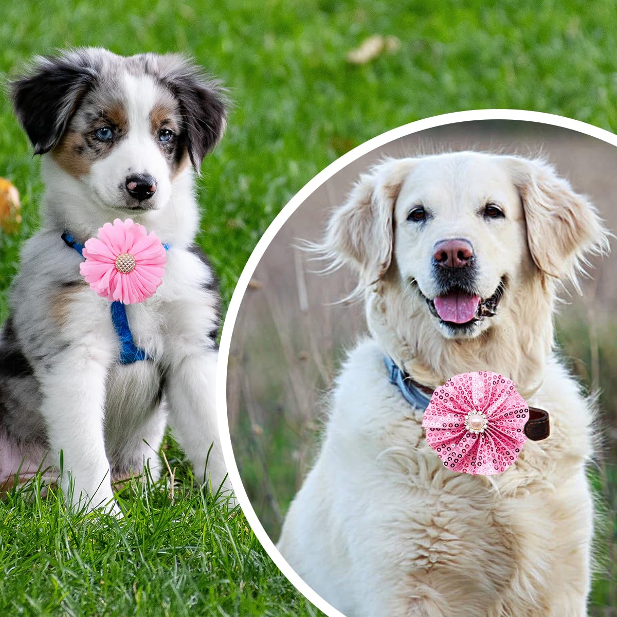 Pet Show Pink Red Dog Collar Flower Charms Accessories Slides On Girls Cat Puppies Rabbits Collars Bows Wedding Grooming Costumes