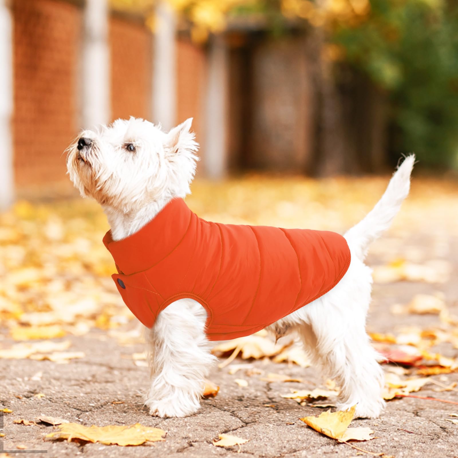 Asenku Windproof Dog Winter Coat Waterproof Dog Jacket Warm Dog Vest Cold Weather Pet Apparel With 2 Layers Fleece Lined For Small Medium Large Dogs (Orange, 3Xl)