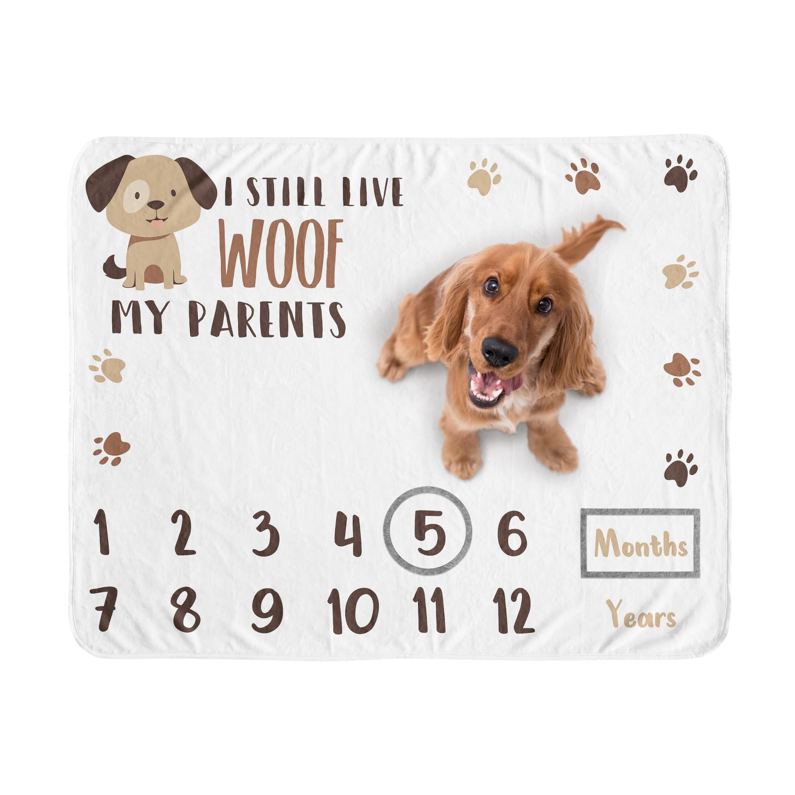 Sweet Jojo Designs Brown And White Doggy Dog Birthday Puppy Milestone Blanket - Monthly Yearly Photo Op Growth Memory Gift Set P
