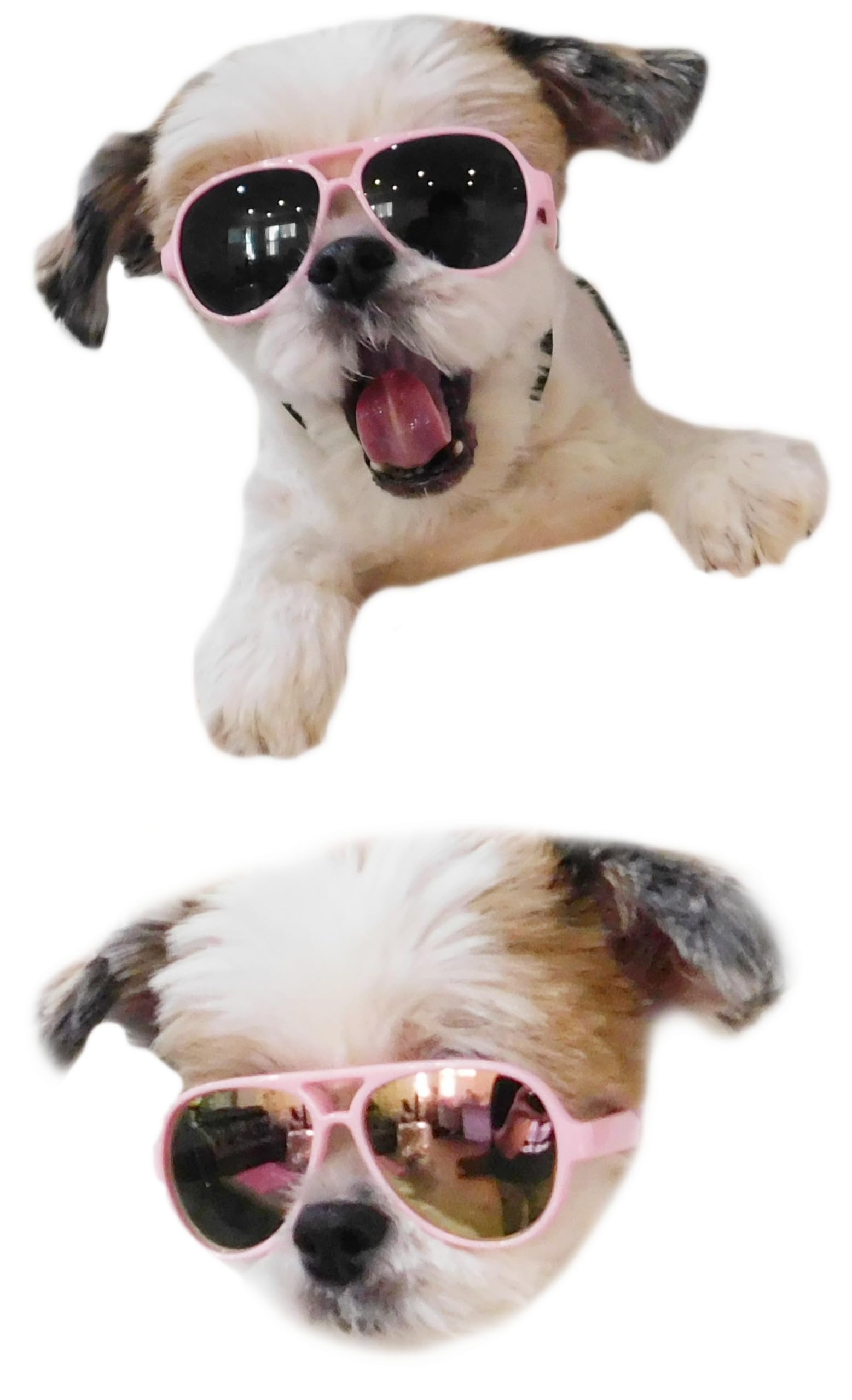 G029 Small Dog Breed Up To 15Lbs Cat Pet Aviator Sunglasses Glasses (Black)