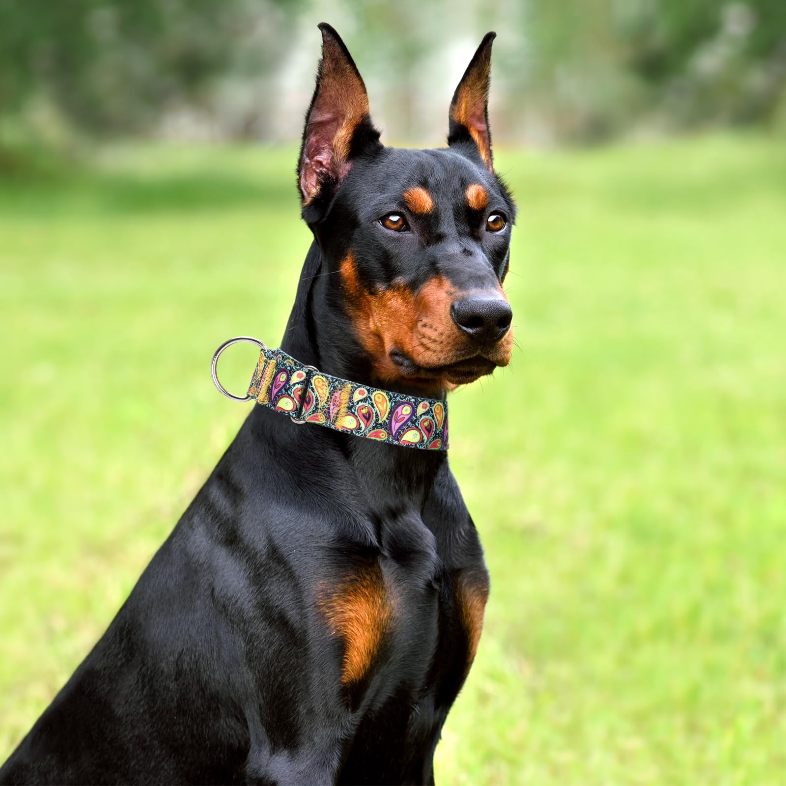 Martingale Dog Collar 1.5 Inch Wide - Heavy Duty Adjustable No-Pull Training Collar For Medium/Large Dogs, Cashew Flower Design