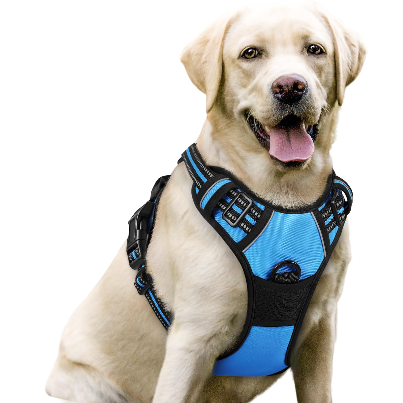 Rabbitgoo Dog Harness, No-Pull Pet Harness With 2 Leash Clips, Adjustable Soft Padded Dog Vest, Reflective No-Choke Pet Oxford Vest With Easy Control Handle For Large Dogs, Blue, L