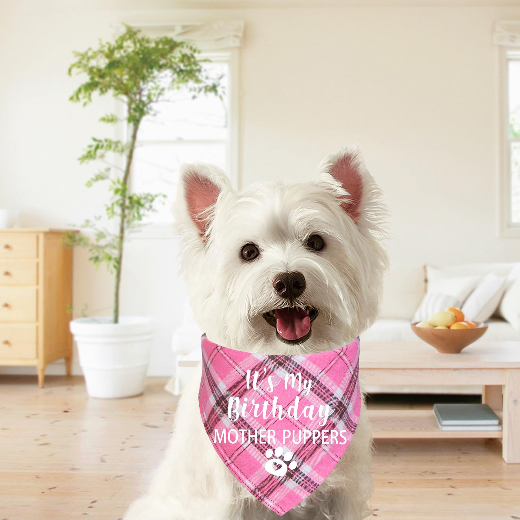 Stmk Dog Birthday Bandana, It' S My Birthday Mother Puppers Multi Sizes Dog Birthday Girl Bandana For Small Medium Large Dogs Ca