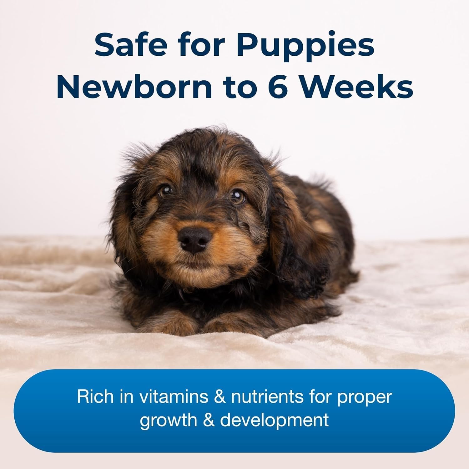 Pet-Ag Esbilac Puppy Milk Replacer Powder - 12 oz - Powdered Puppy Formula with Prebiotics, Probiotics & Vitamins for Puppies Ne