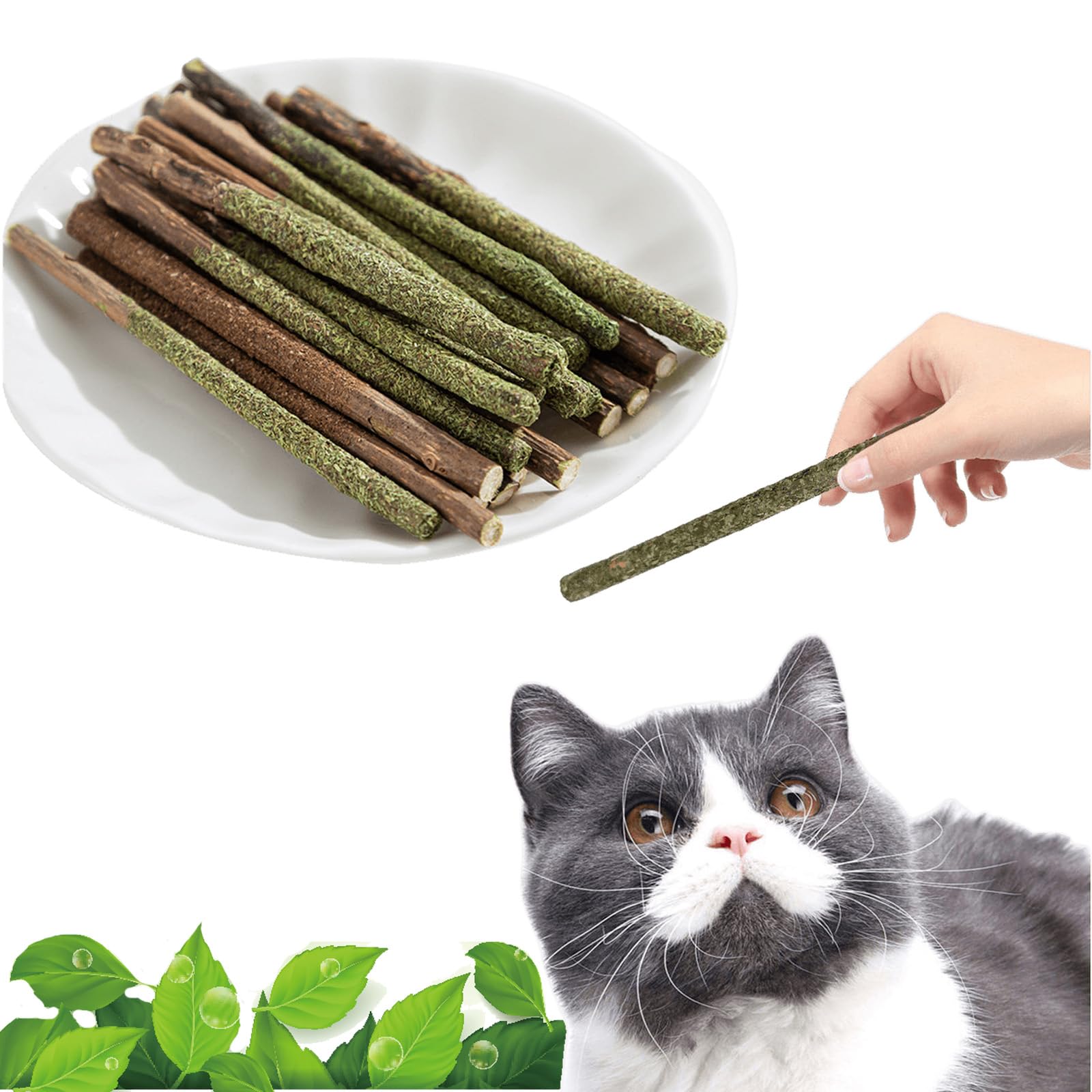 Maiguangta Natural Silvervine Catnip Chew Sticks (12 PC) - Edible Dental Chews for Cats & Kittens, Teething Relief Teeth Cleanin